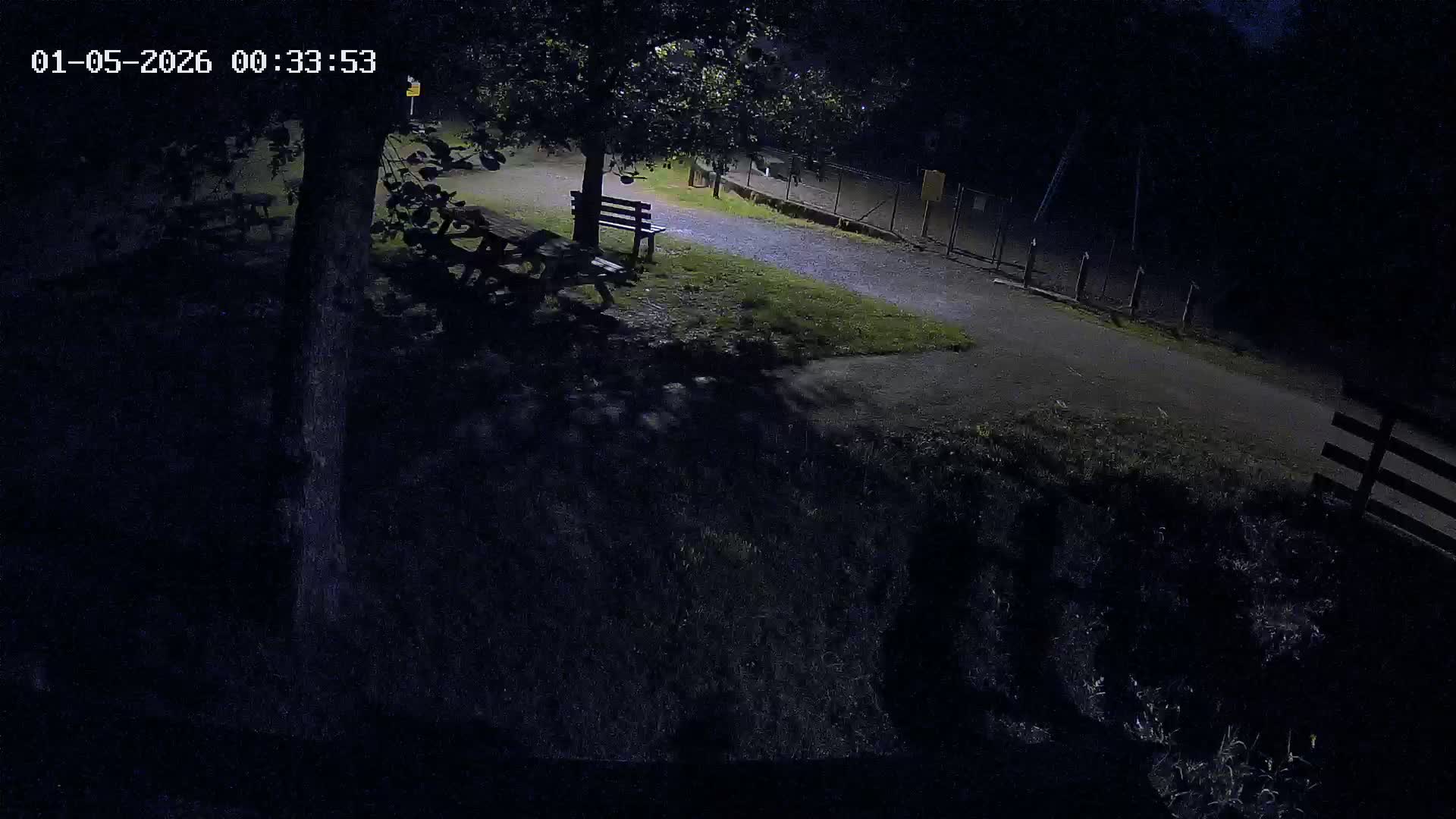 Webcam Image