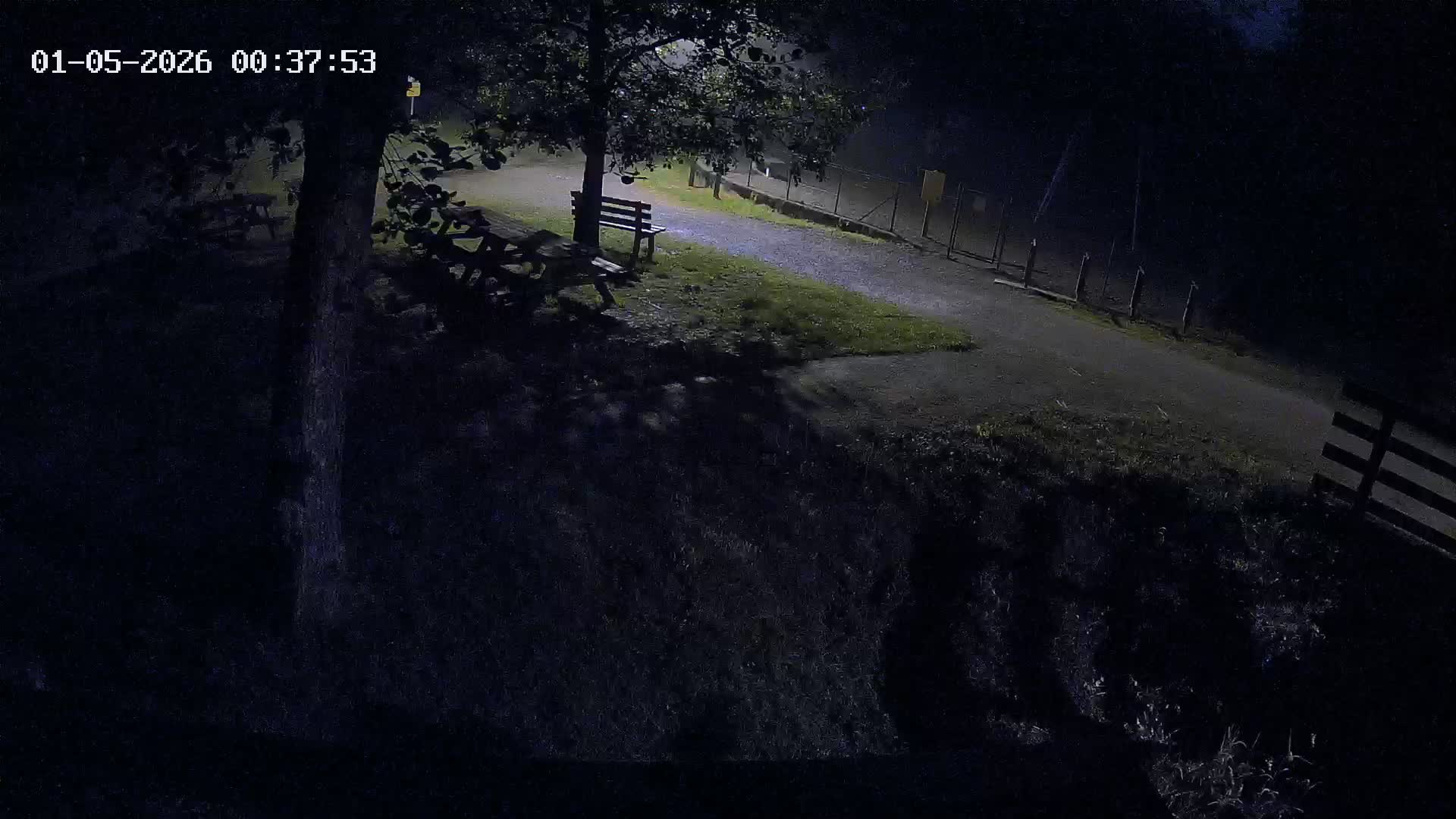 Webcam Image
