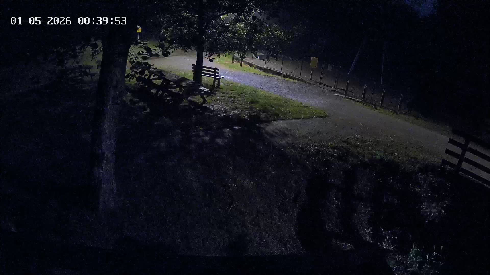 Webcam Image