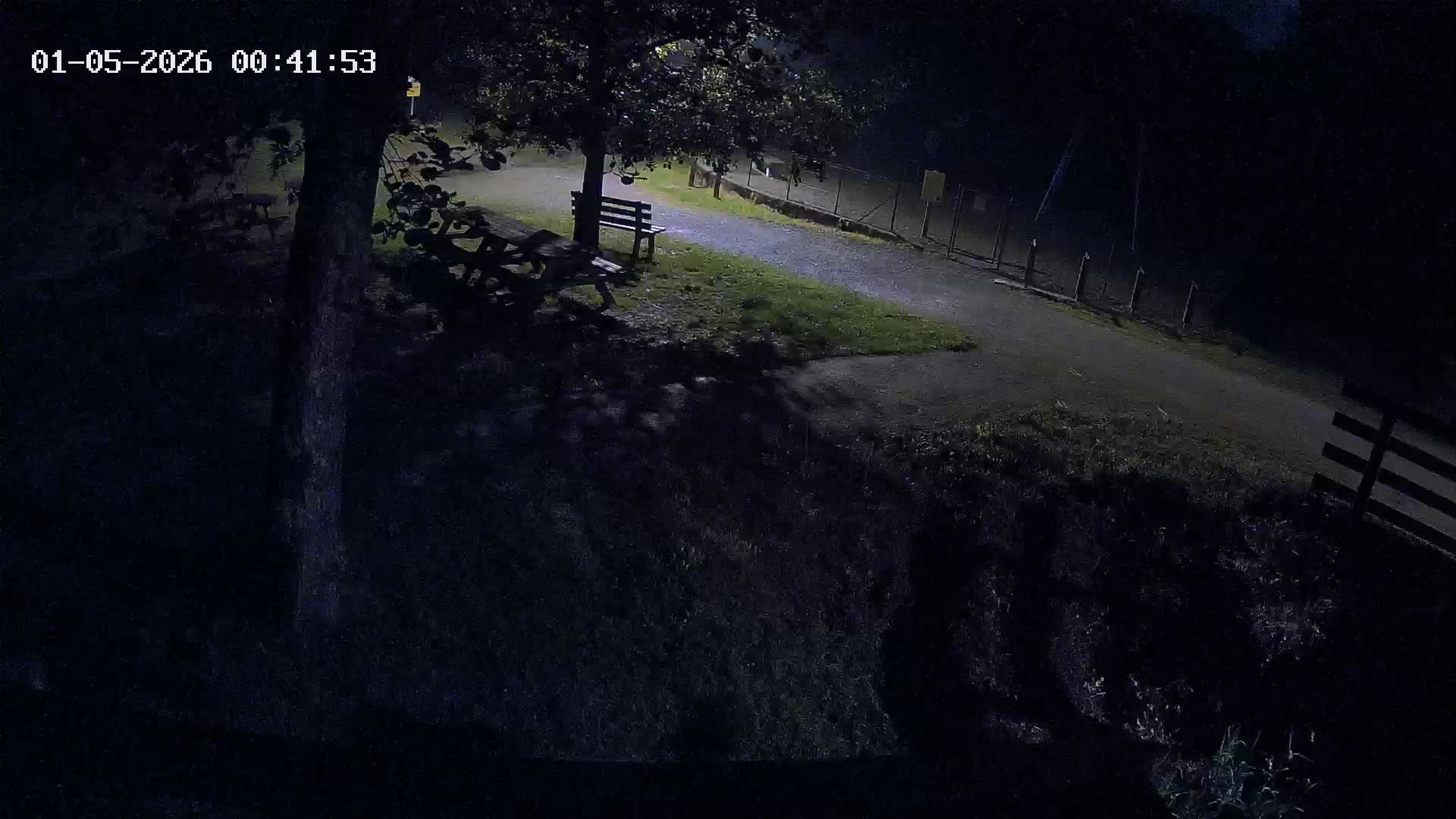 Webcam Image