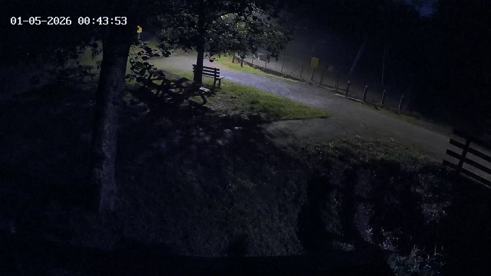 Webcam Image