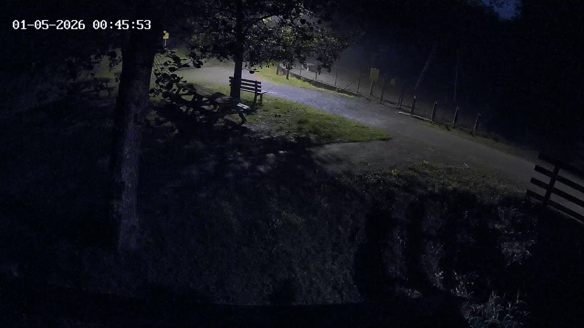 Webcam Image