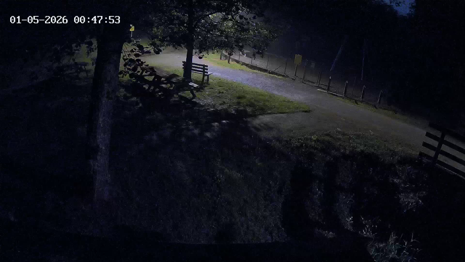 Webcam Image