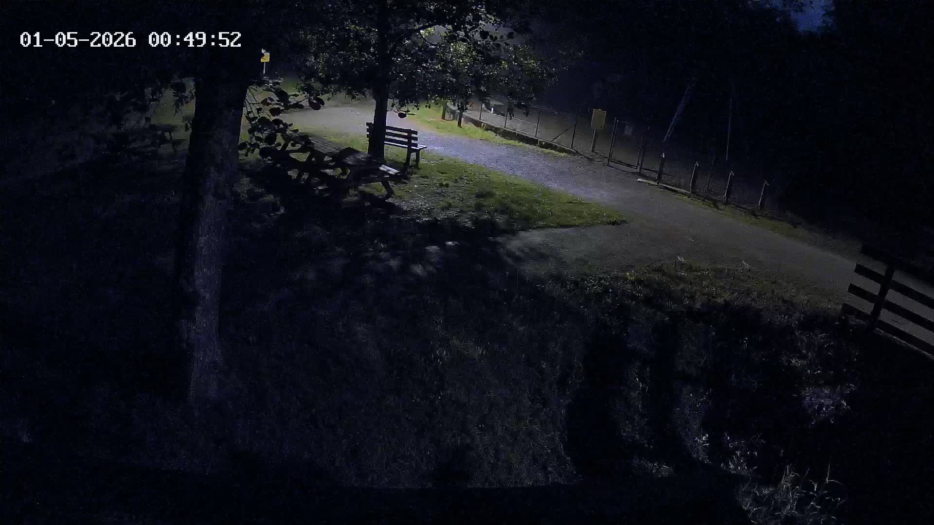Webcam Image