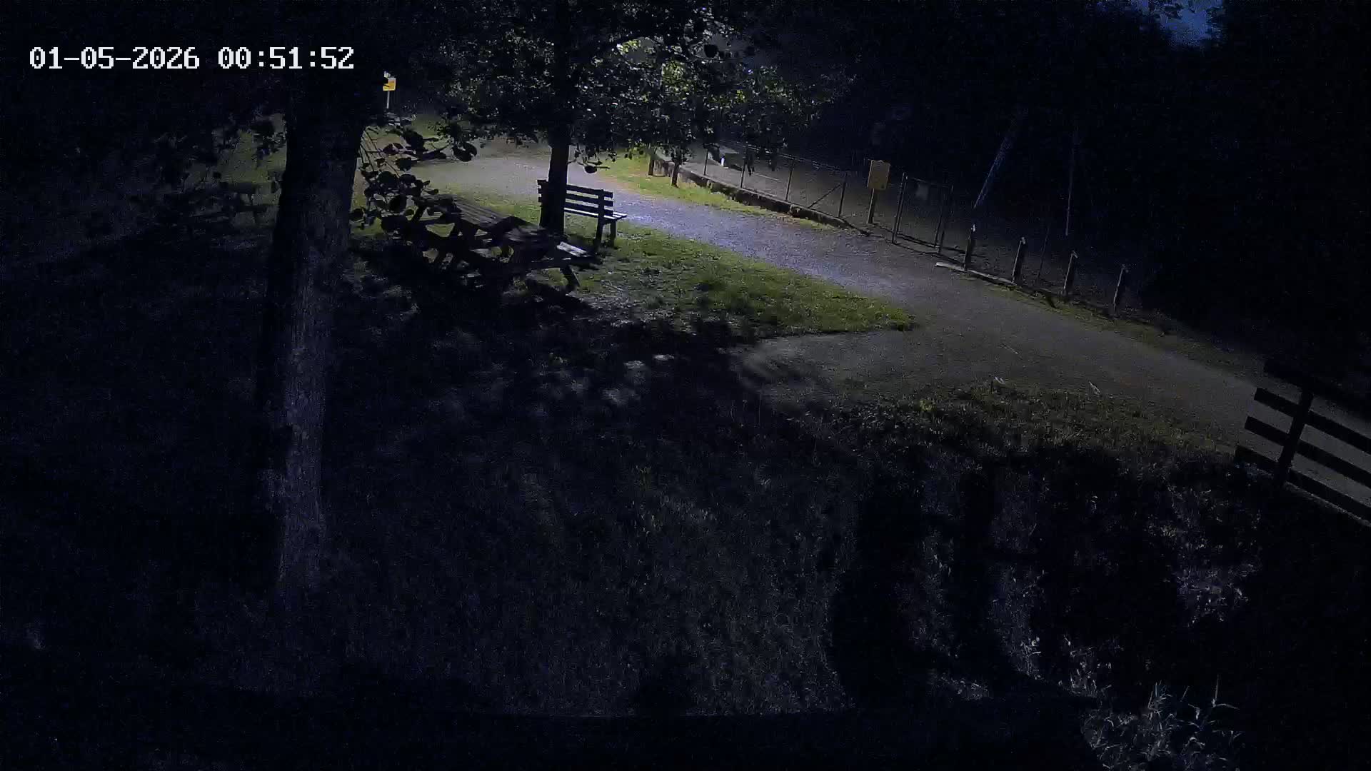 Webcam Image