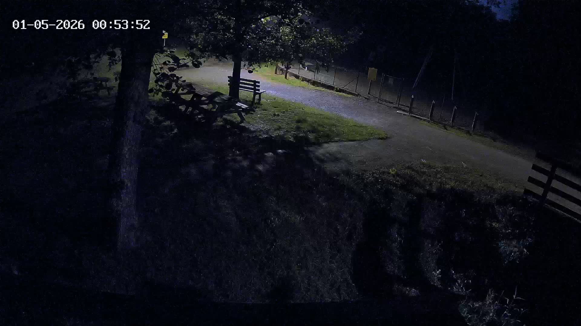 Webcam Image