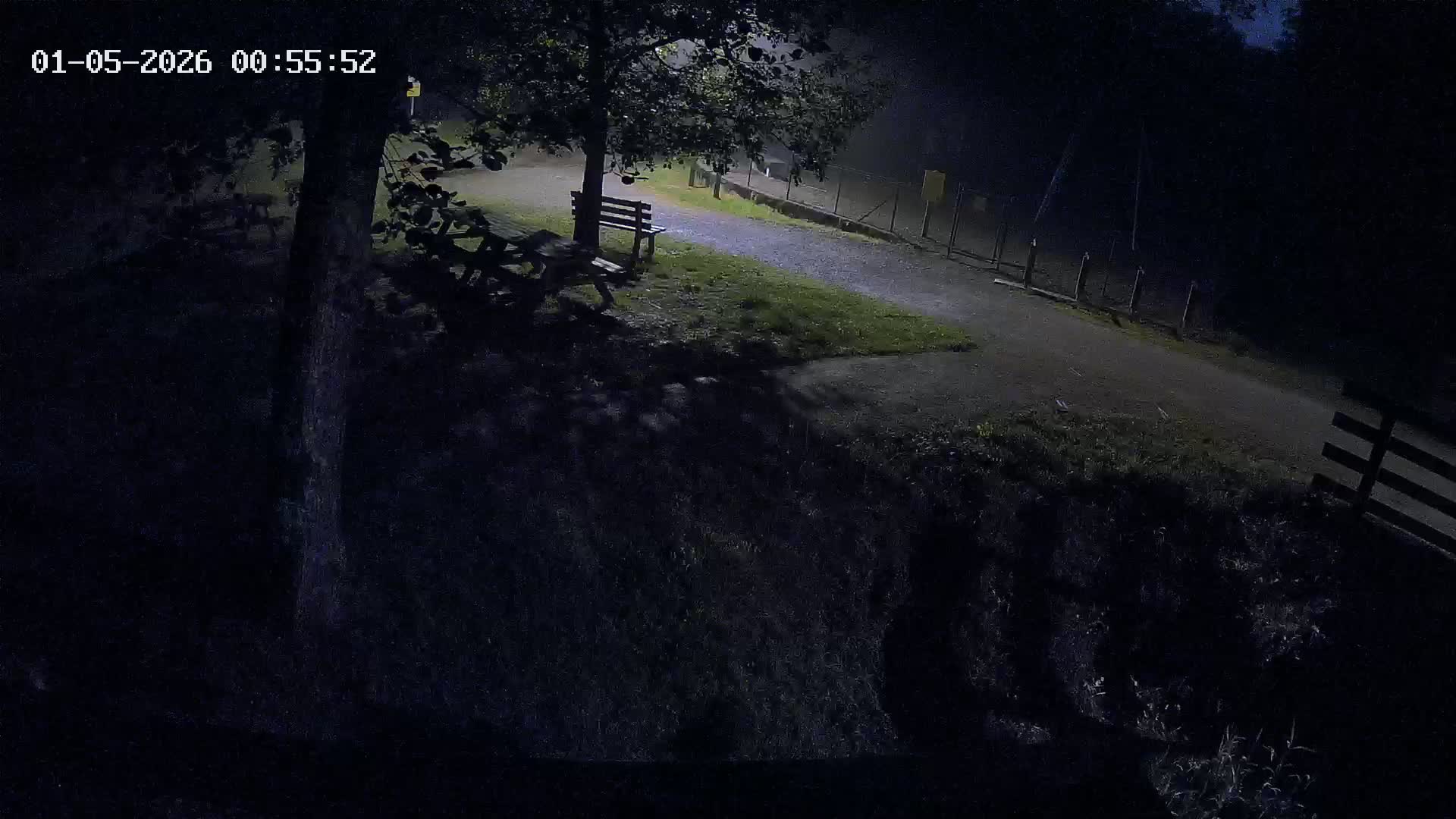 Webcam Image