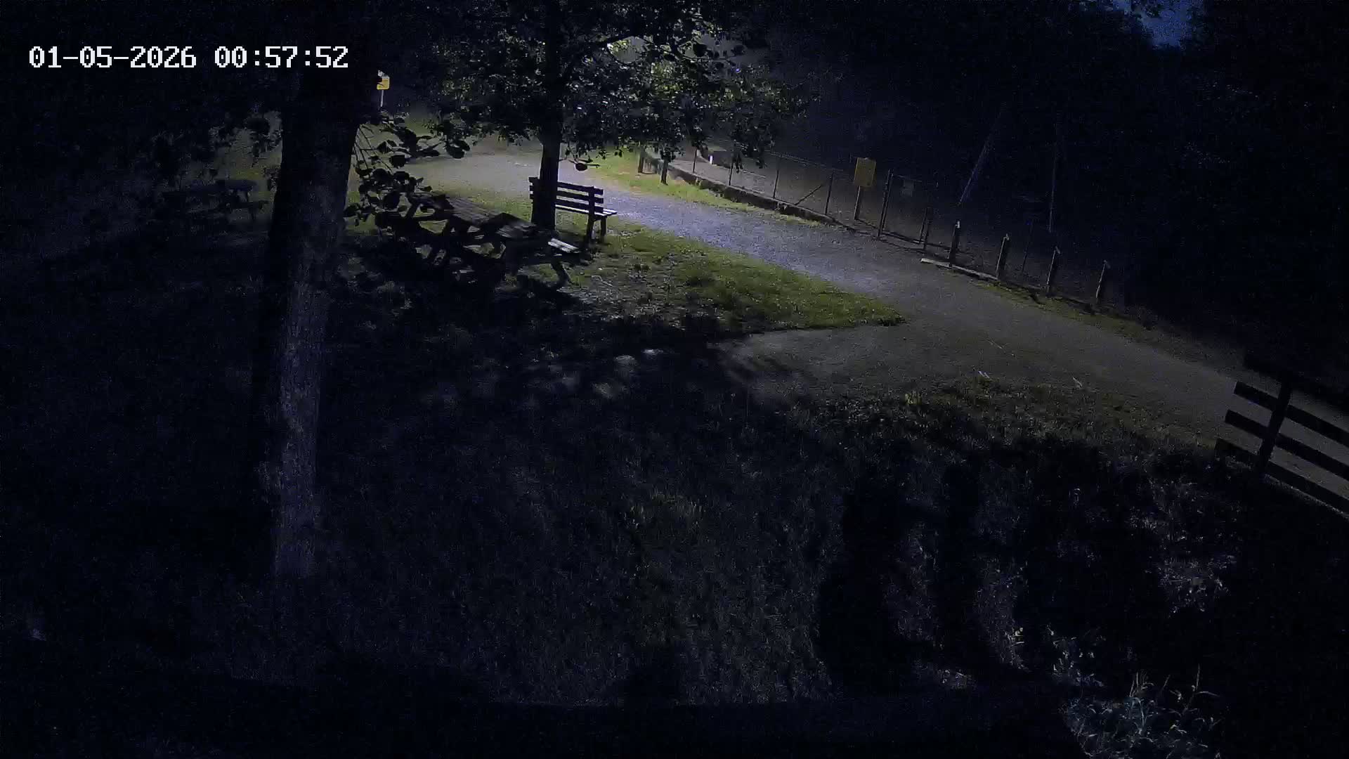 Webcam Image