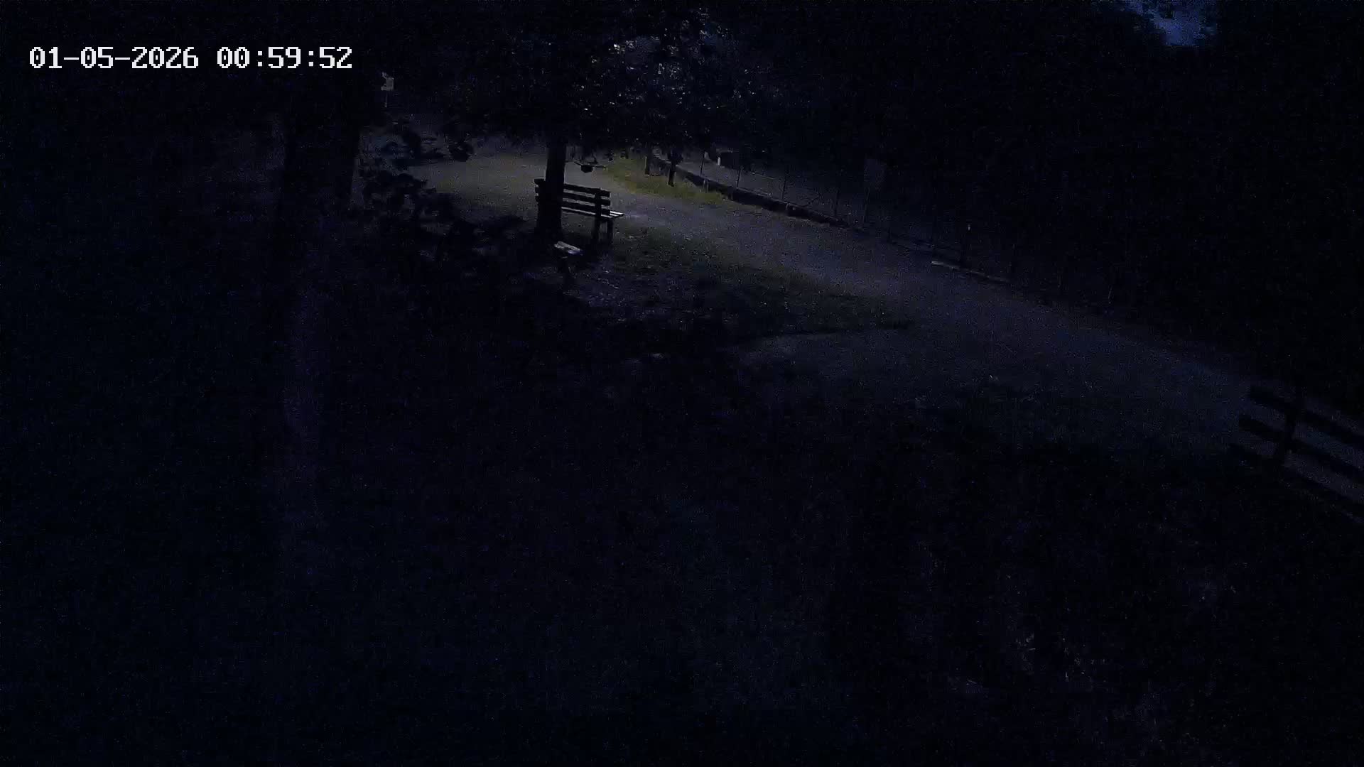 Webcam Image