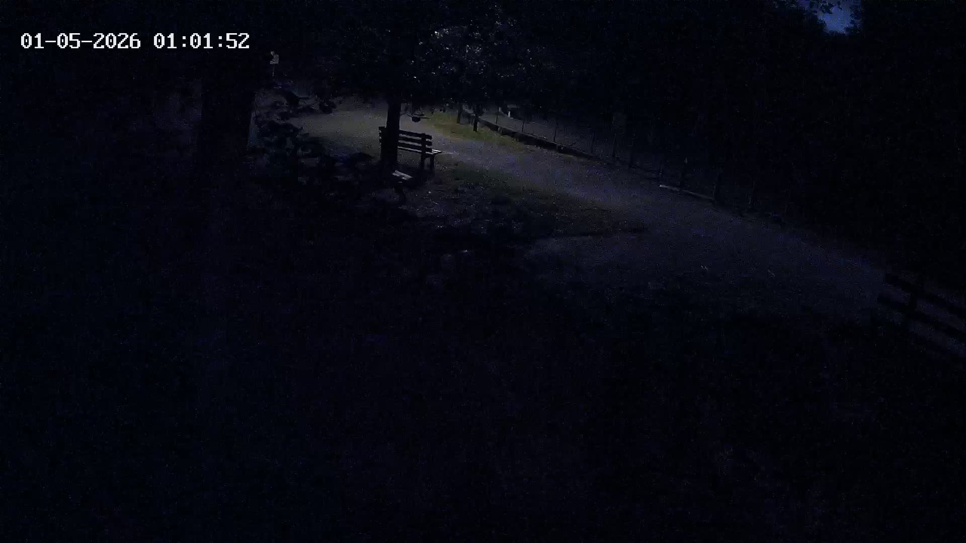 Webcam Image
