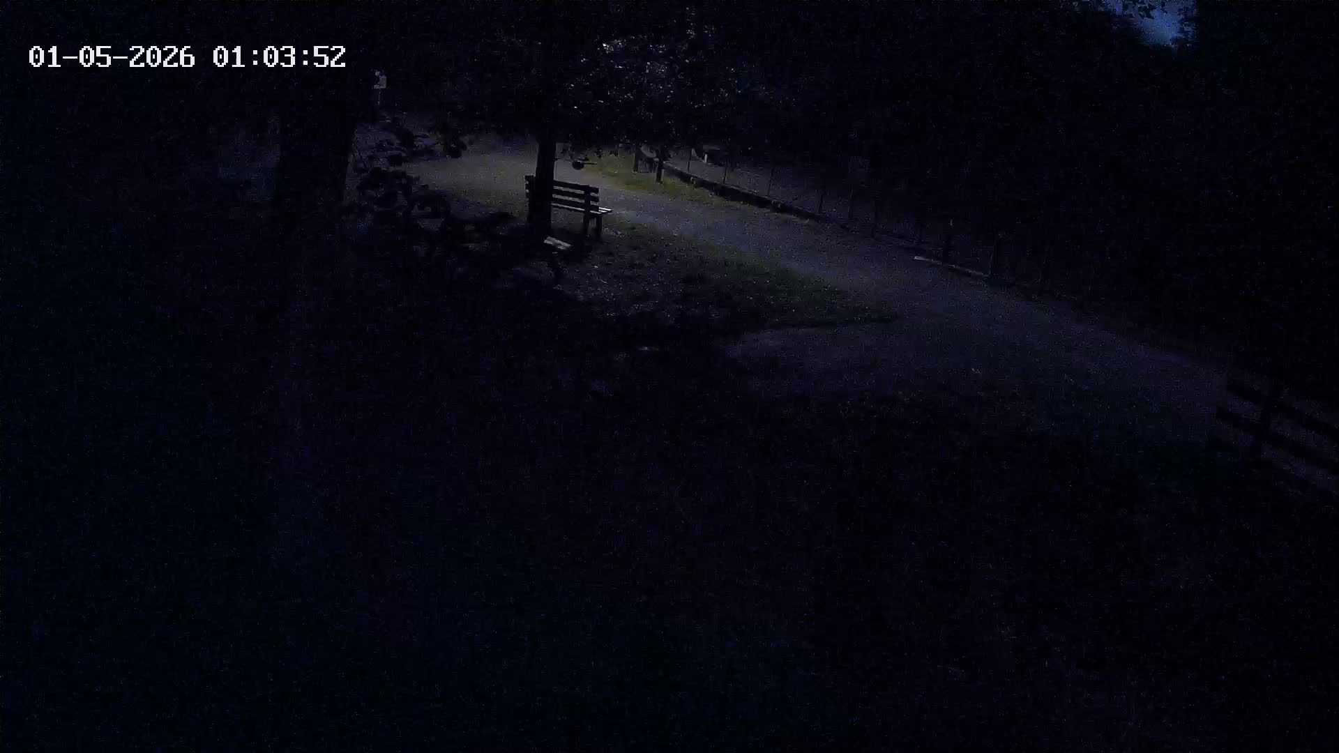 Webcam Image