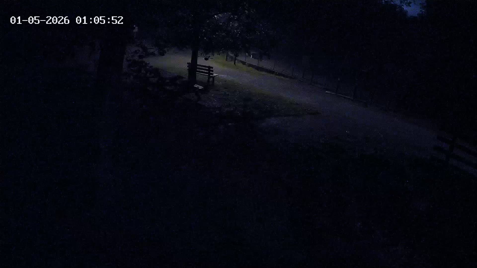 Webcam Image