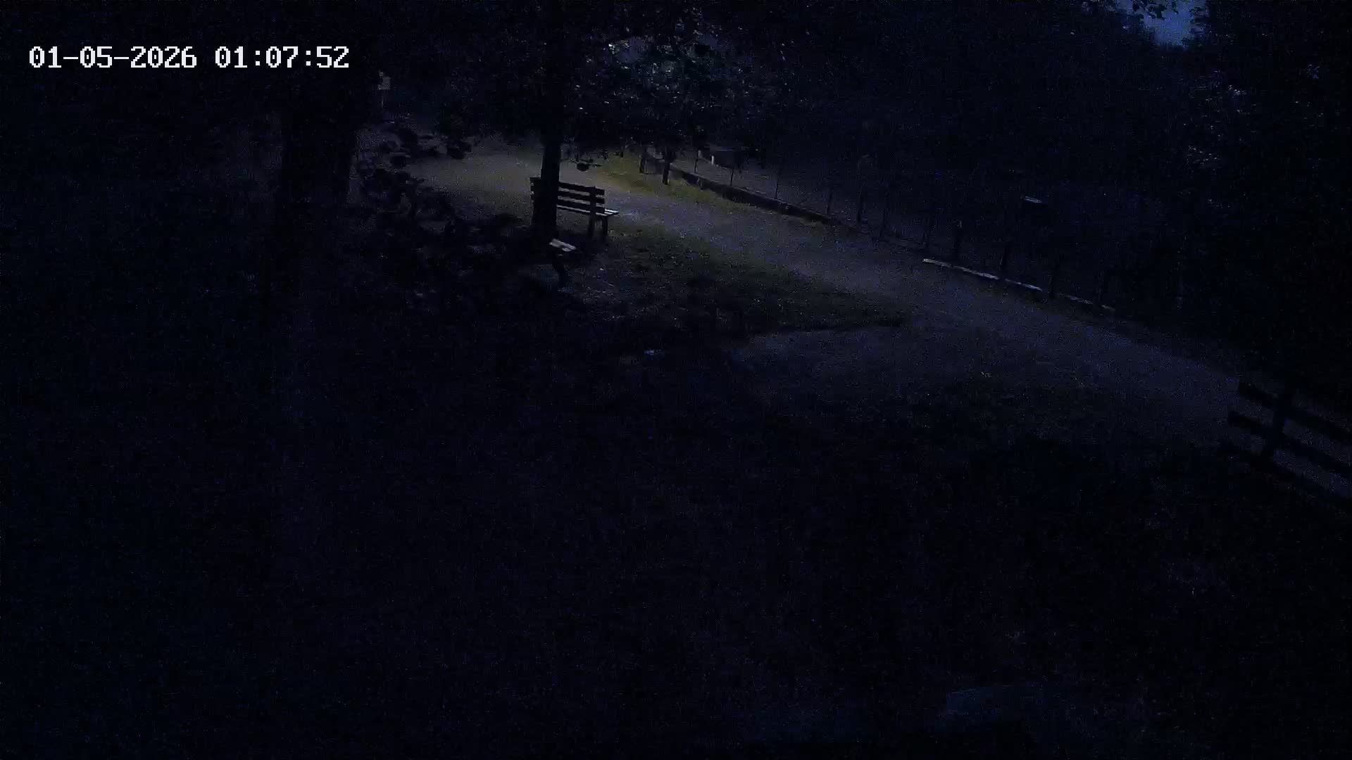 Webcam Image