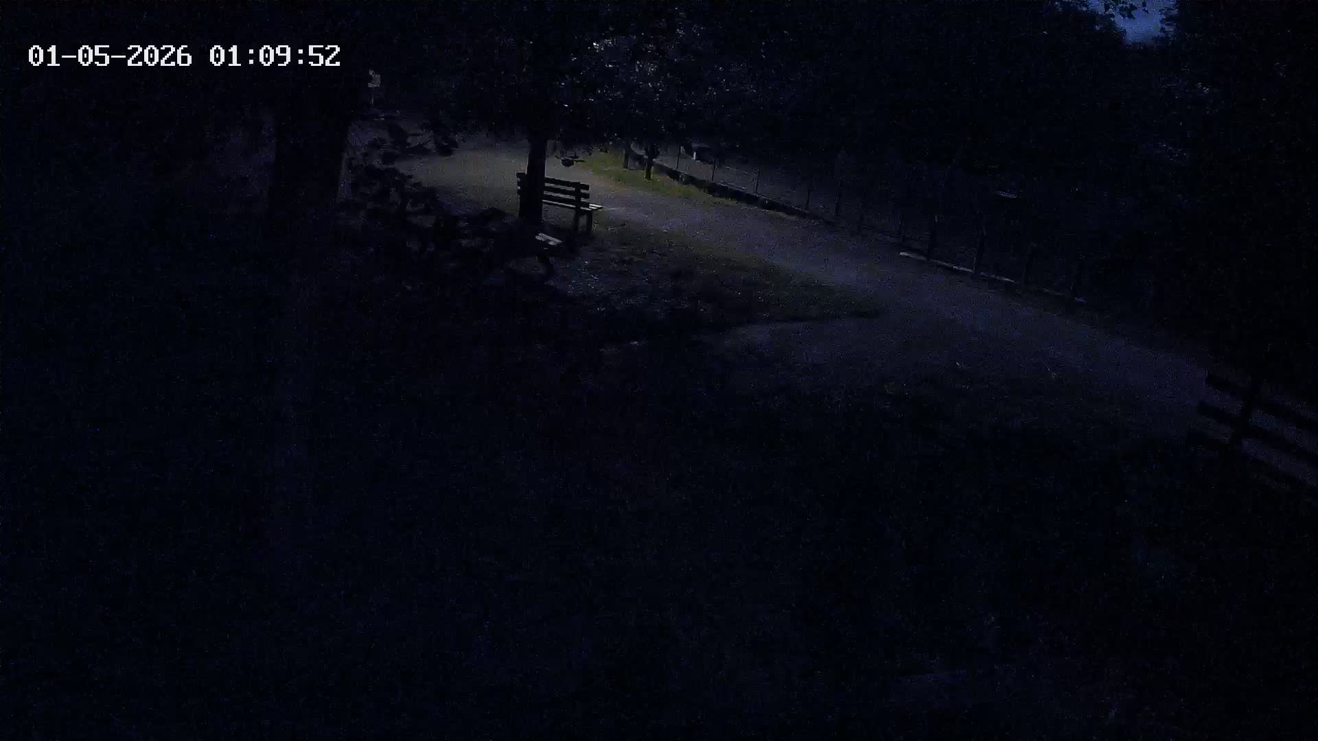 Webcam Image