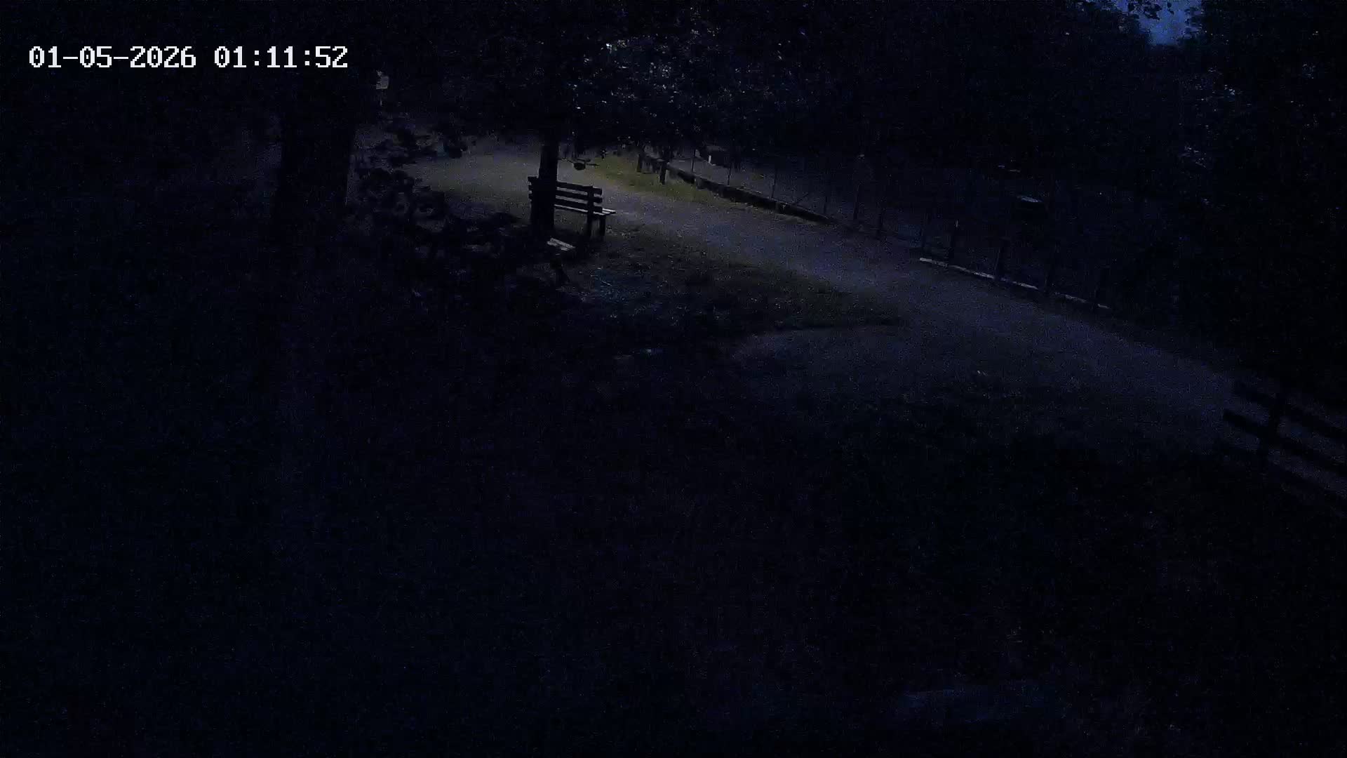 Webcam Image