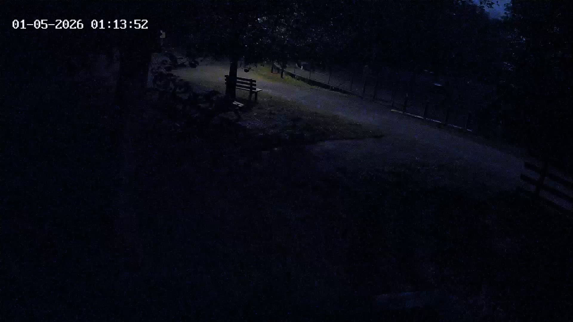 Webcam Image