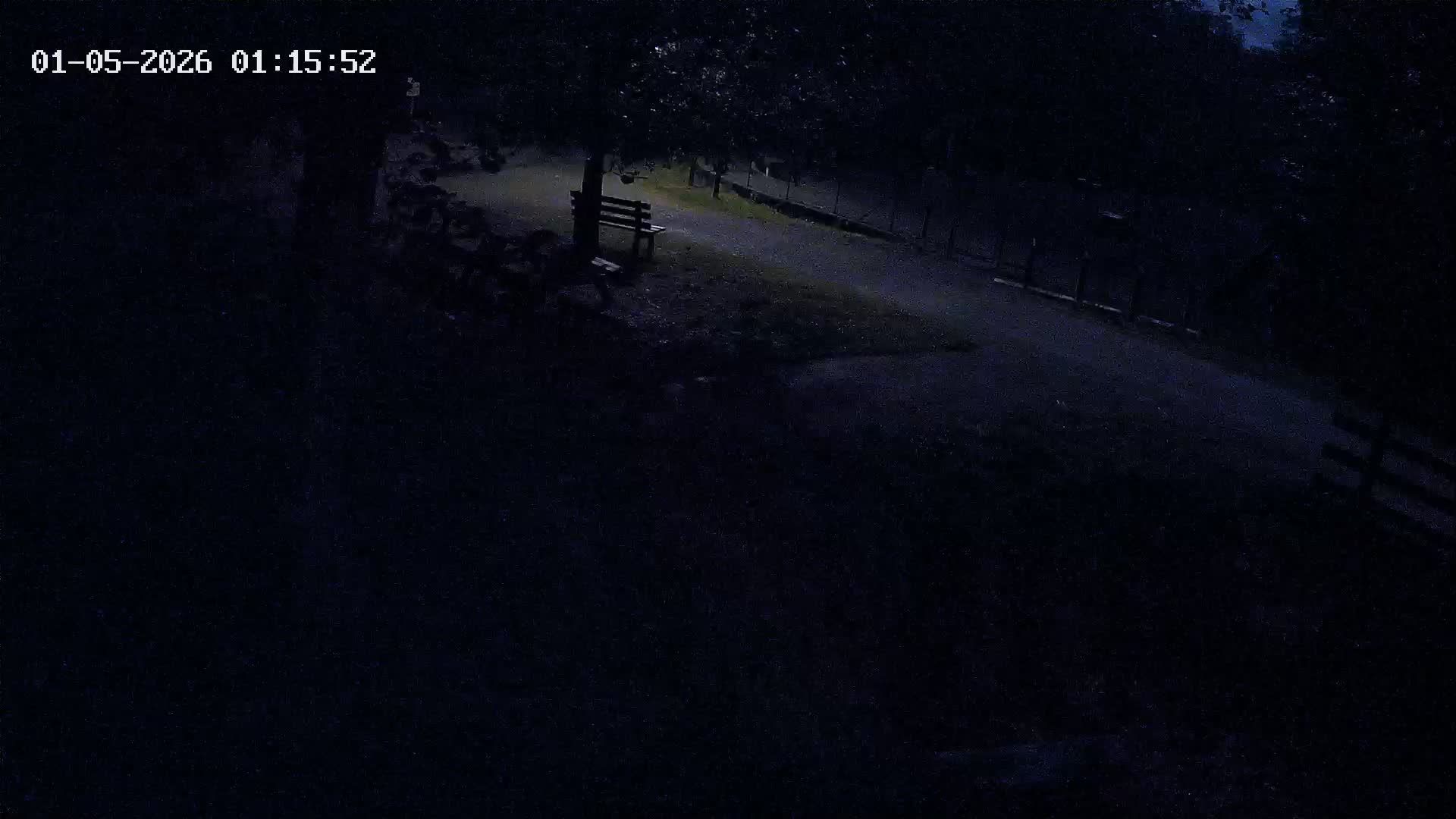 Webcam Image