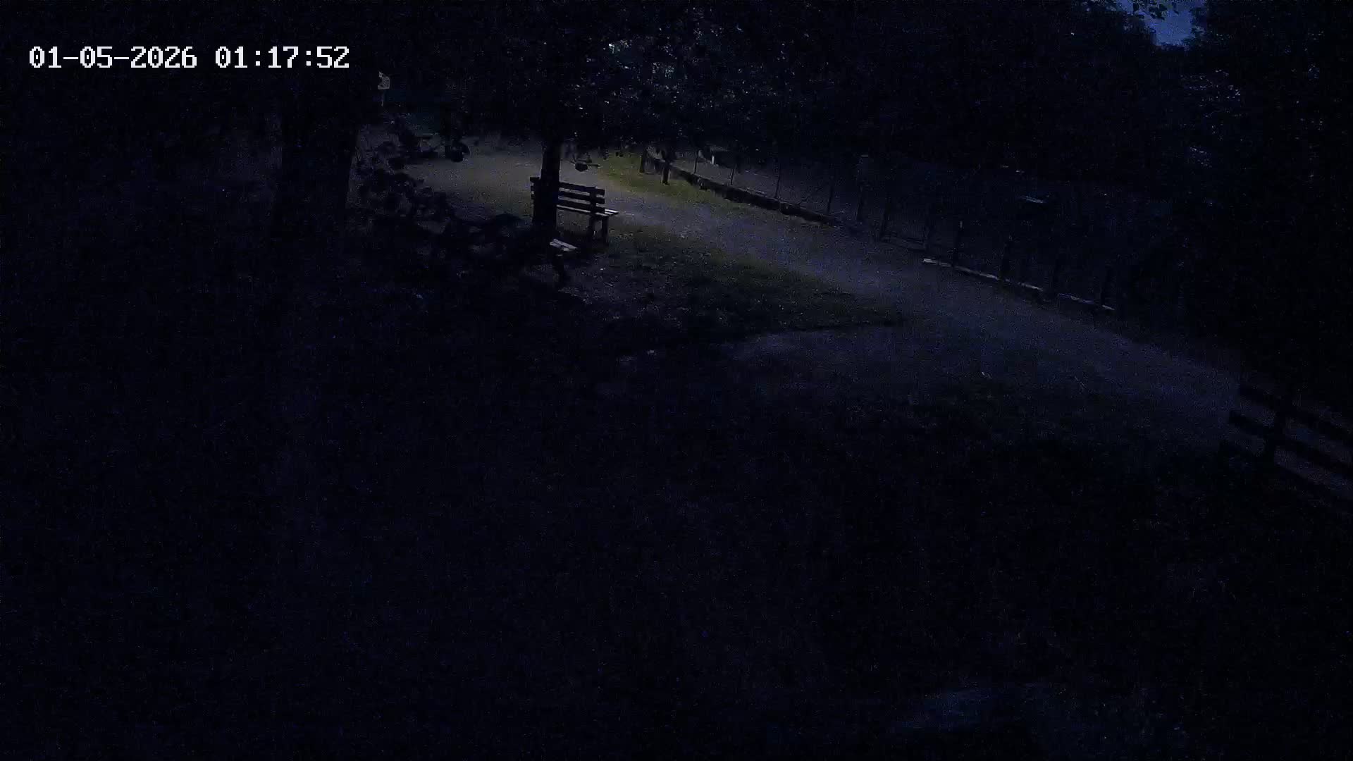 Webcam Image
