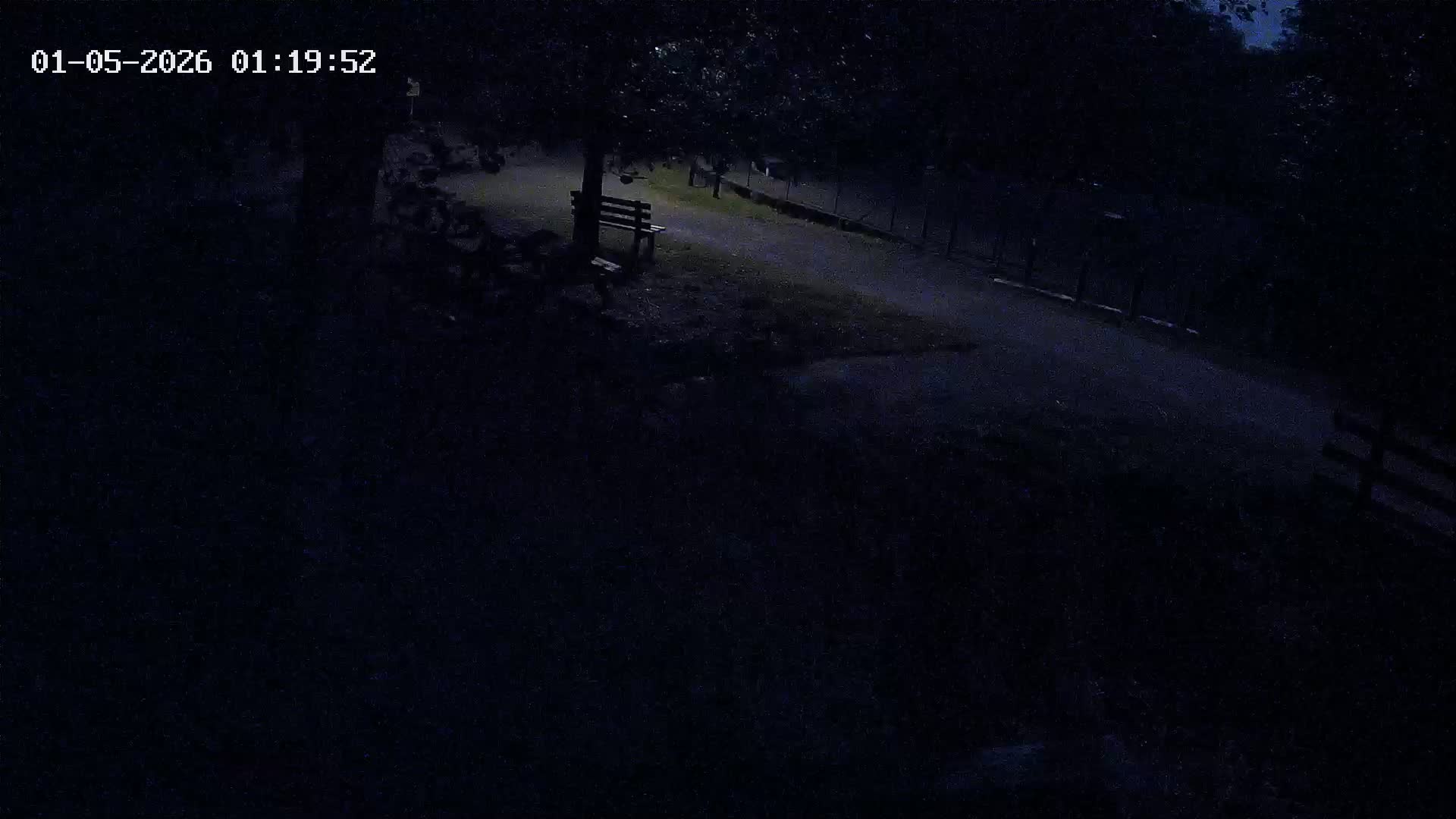 Webcam Image