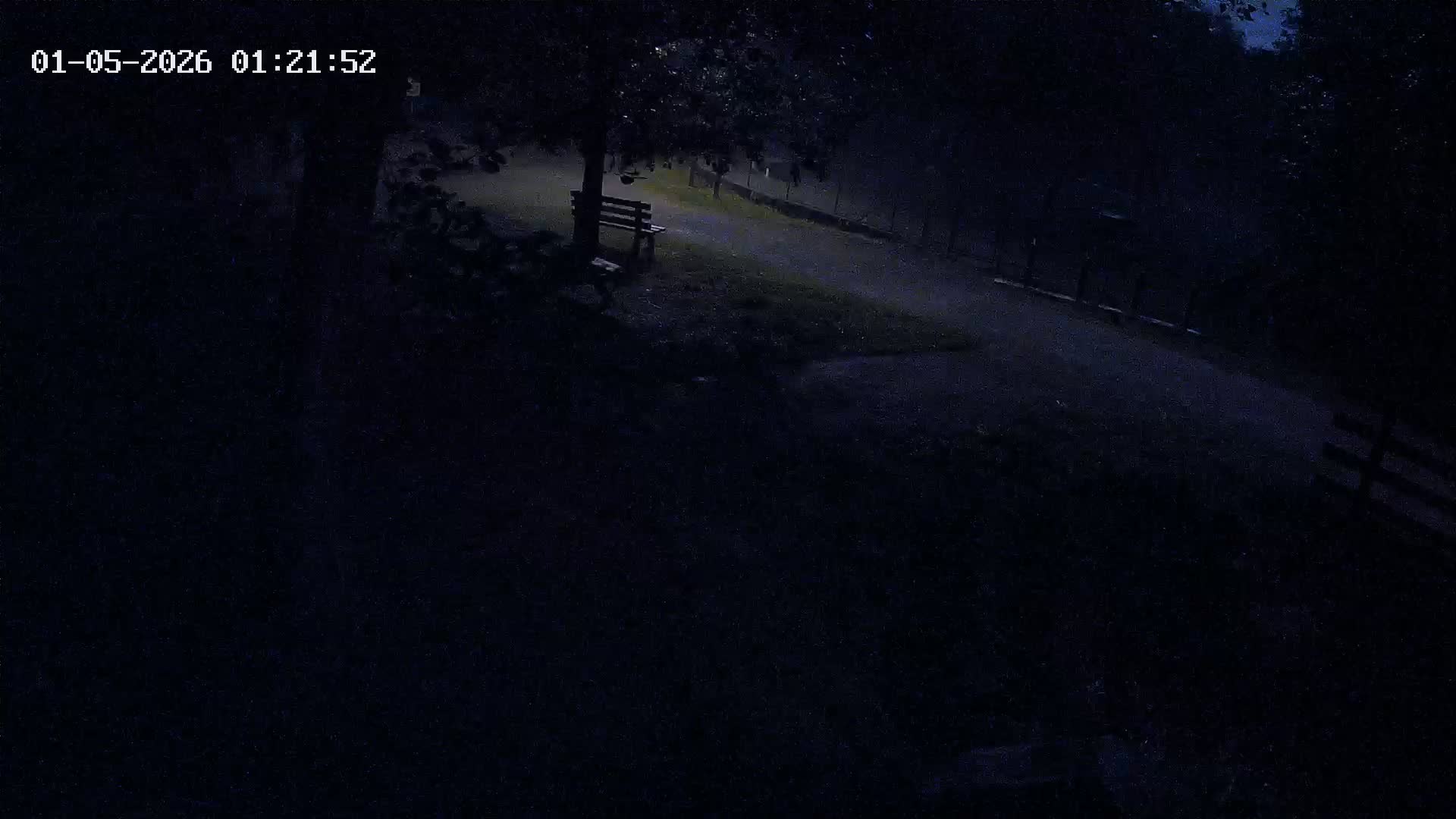 Webcam Image