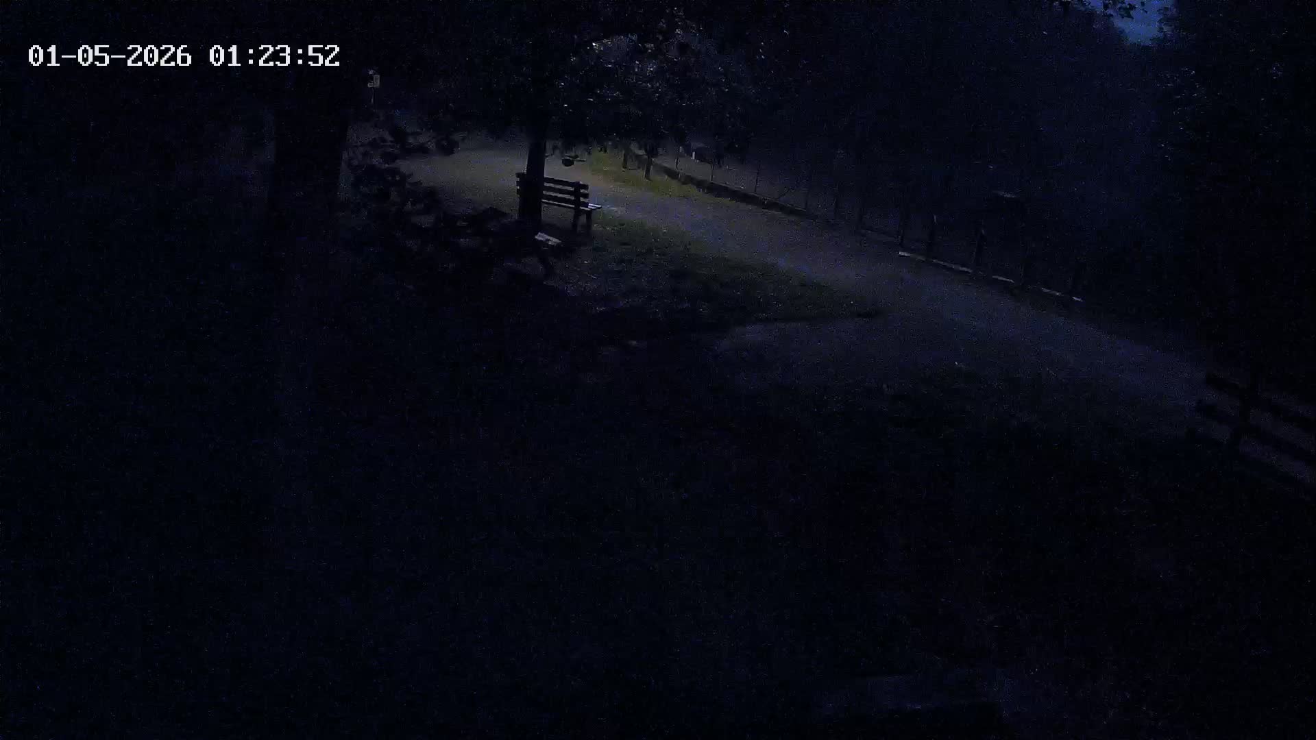Webcam Image