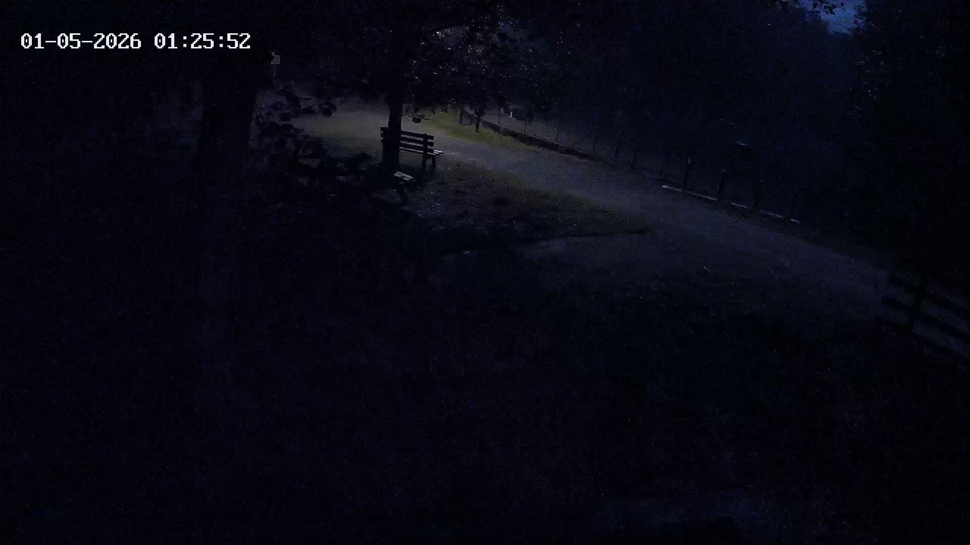 Webcam Image