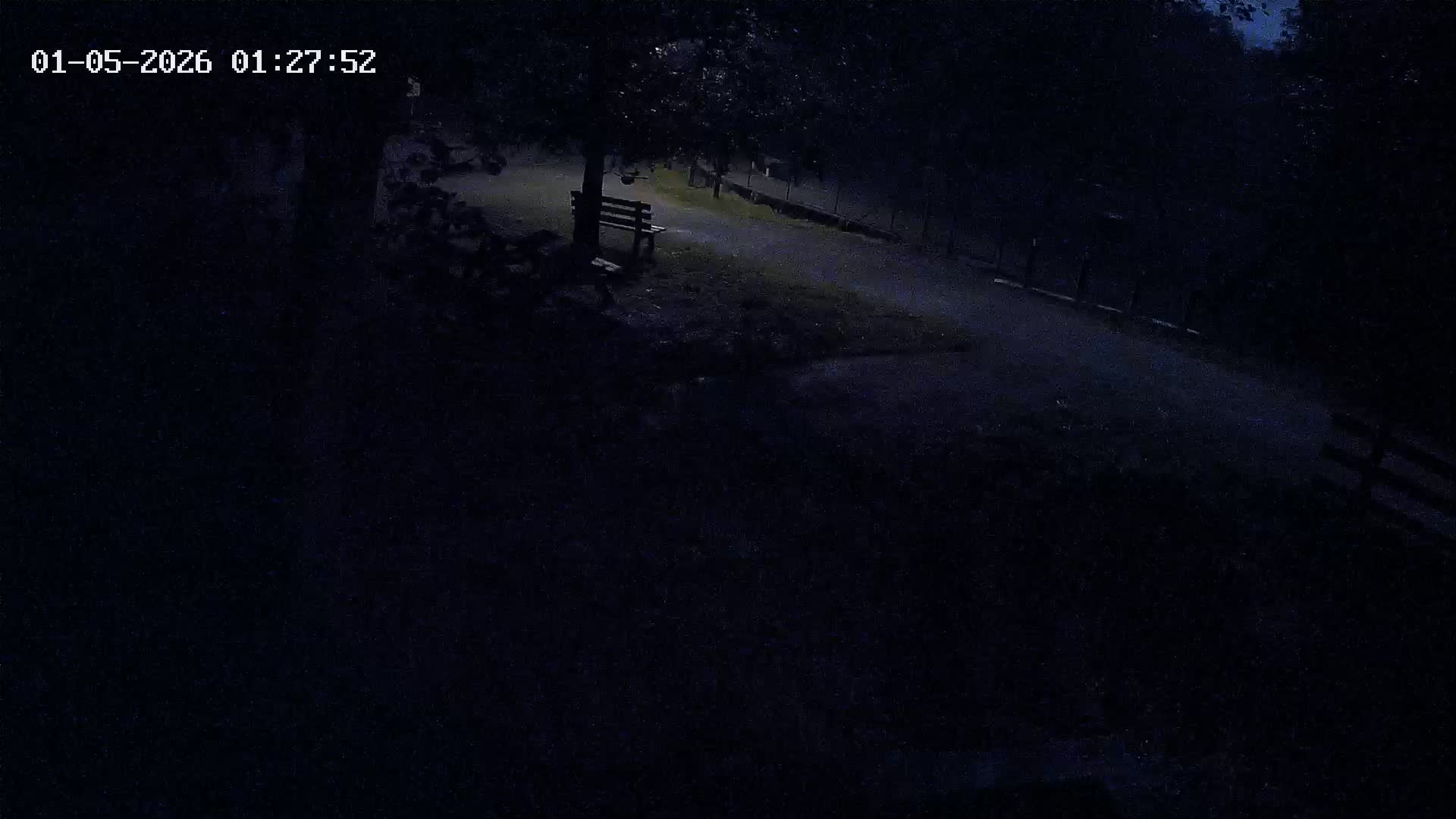 Webcam Image