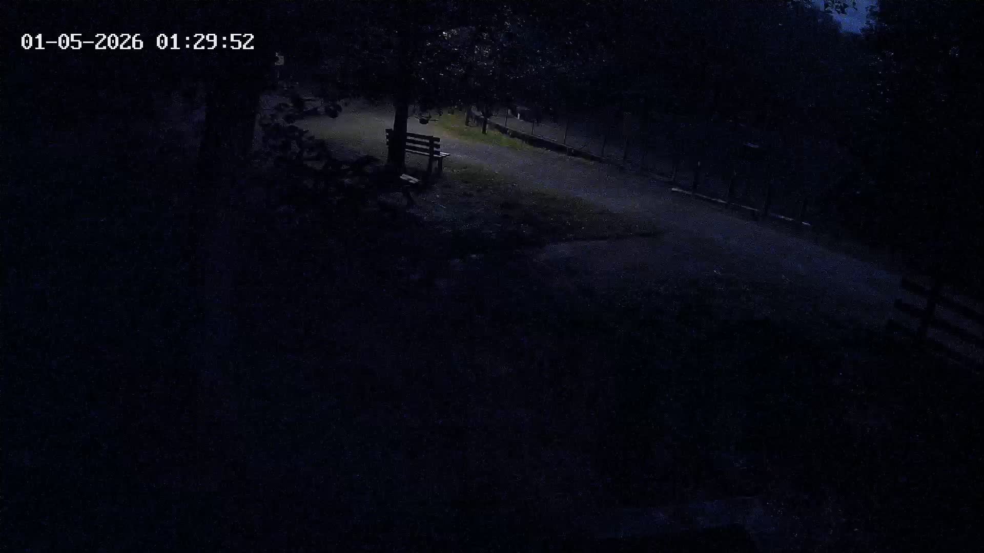 Webcam Image