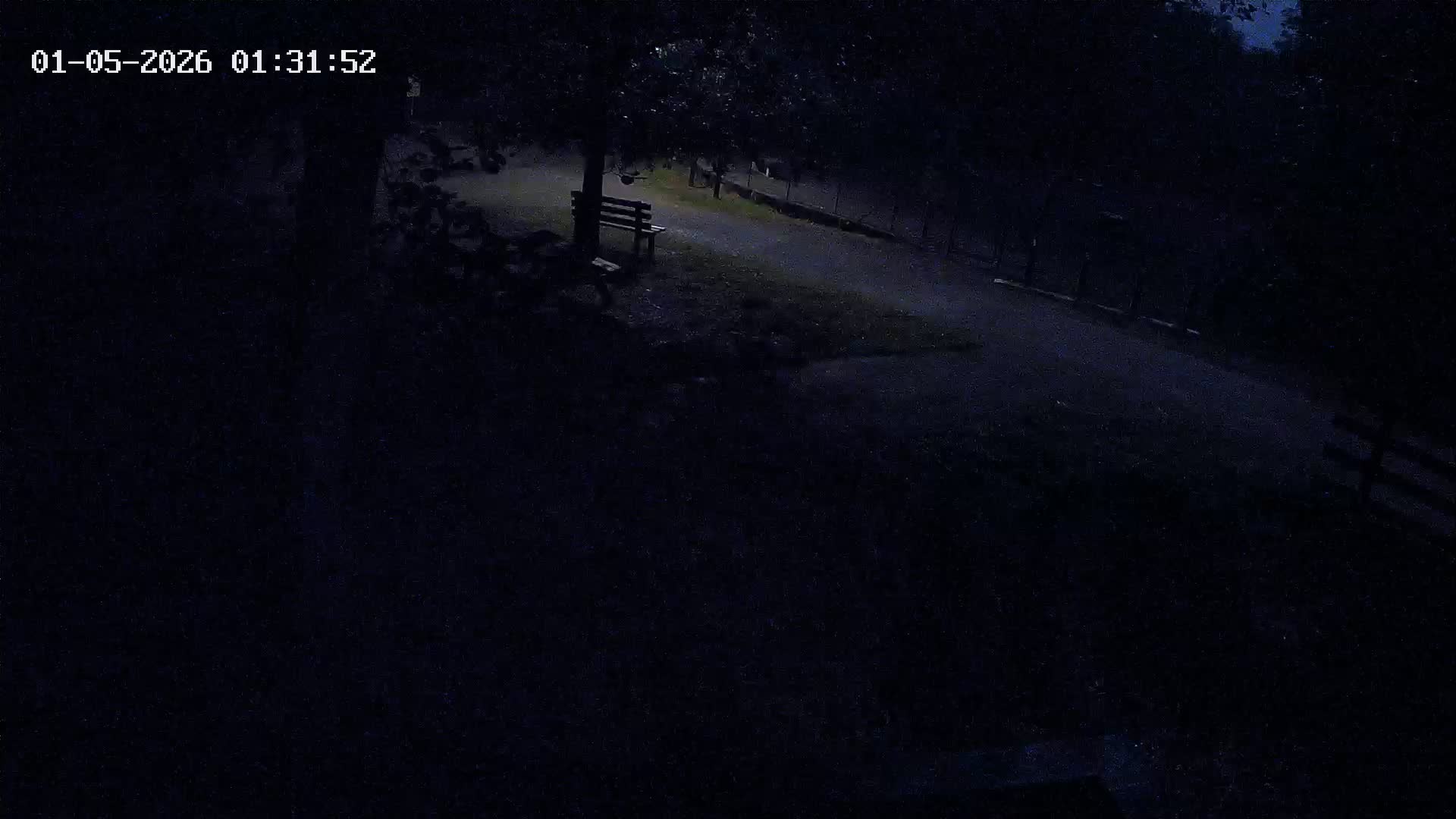 Webcam Image