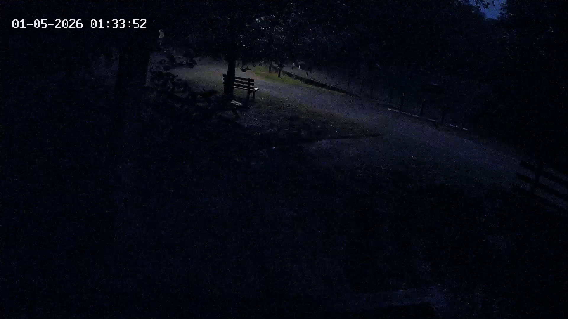 Webcam Image