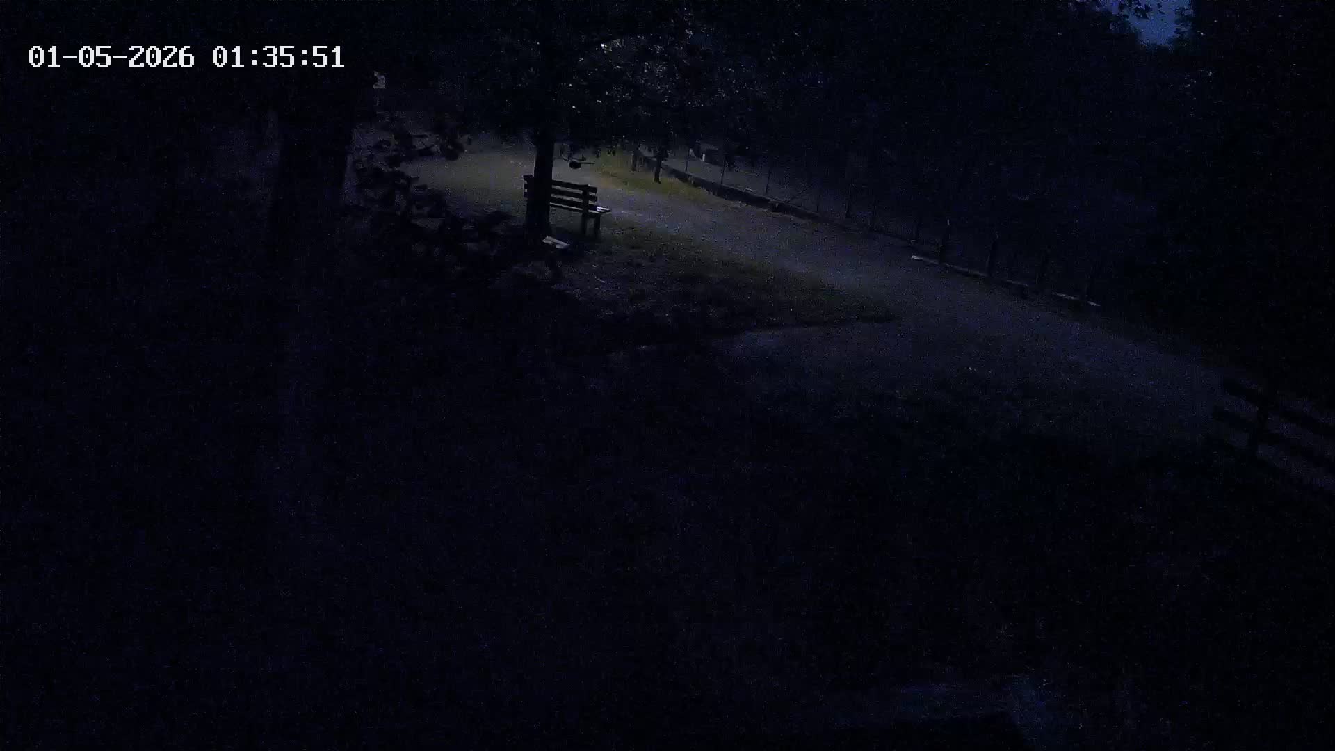 Webcam Image