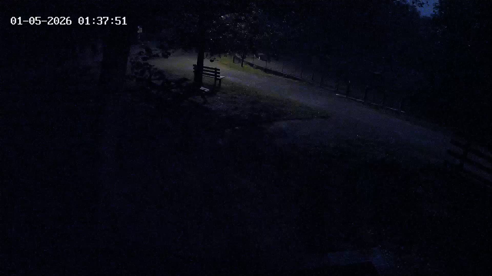 Webcam Image