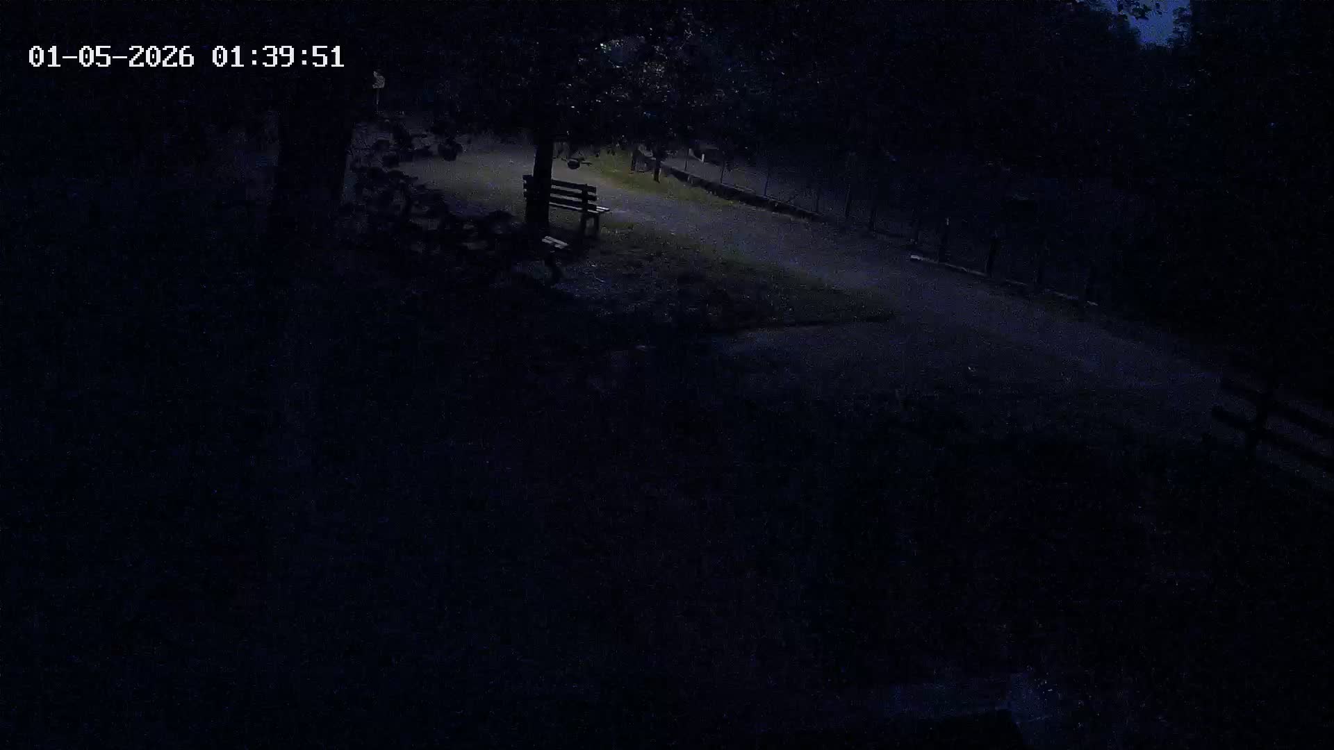 Webcam Image