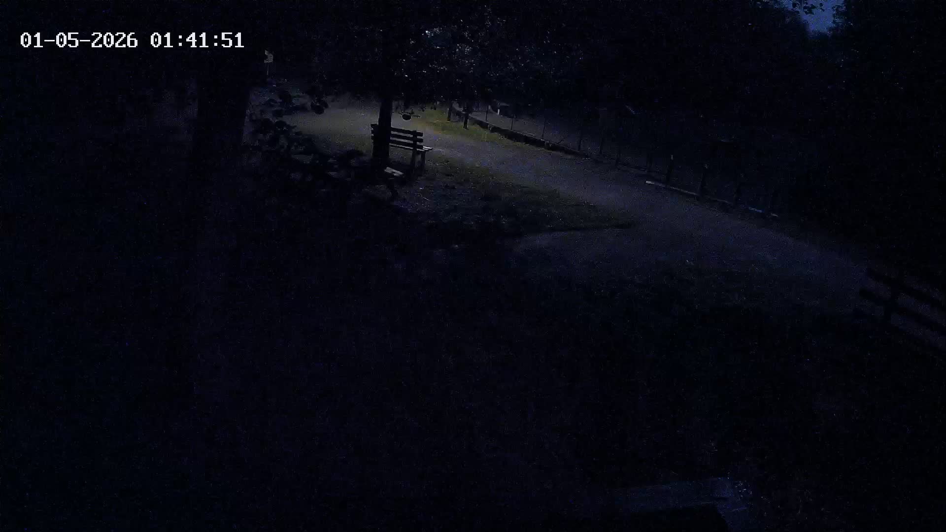 Webcam Image