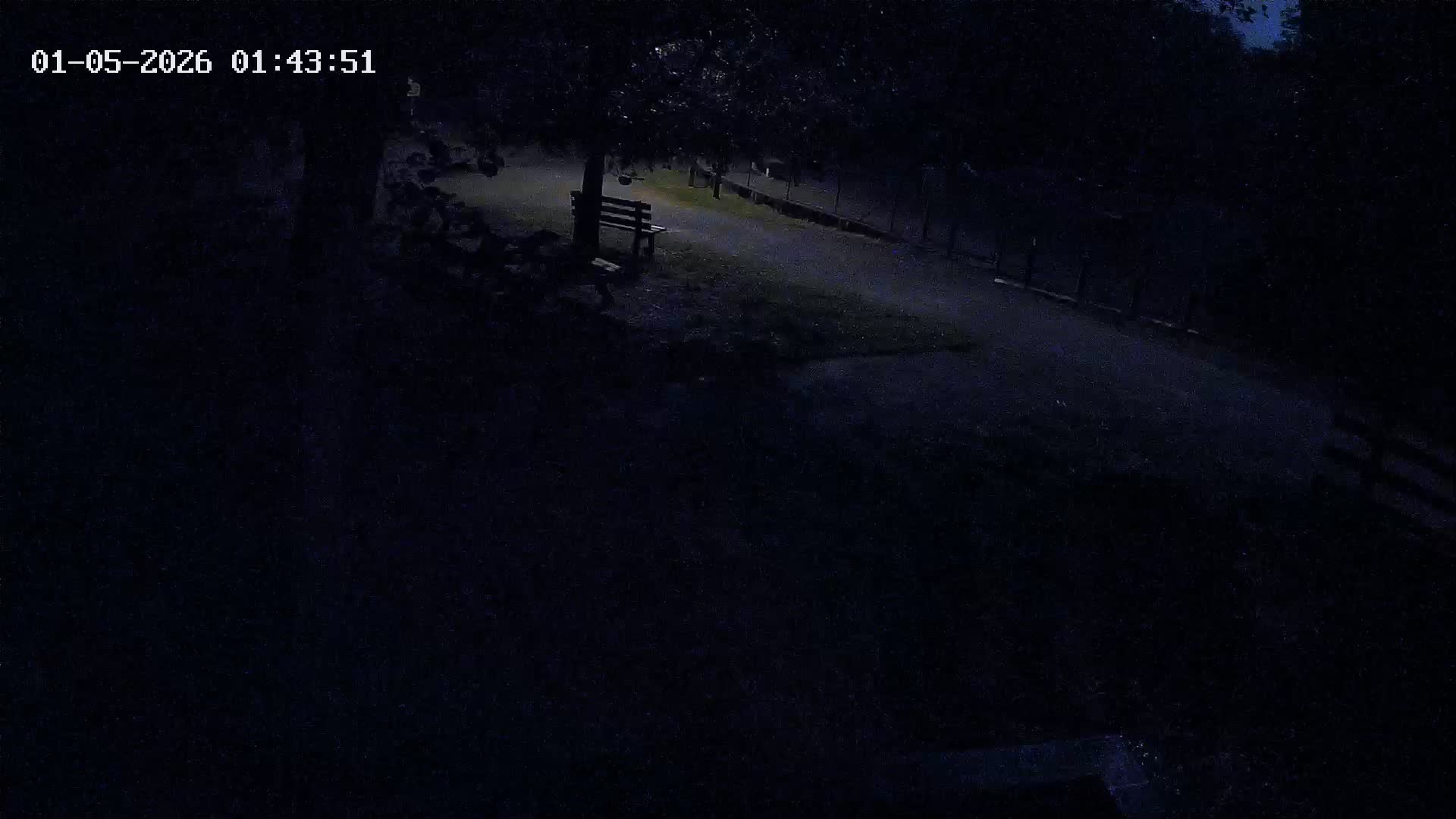 Webcam Image