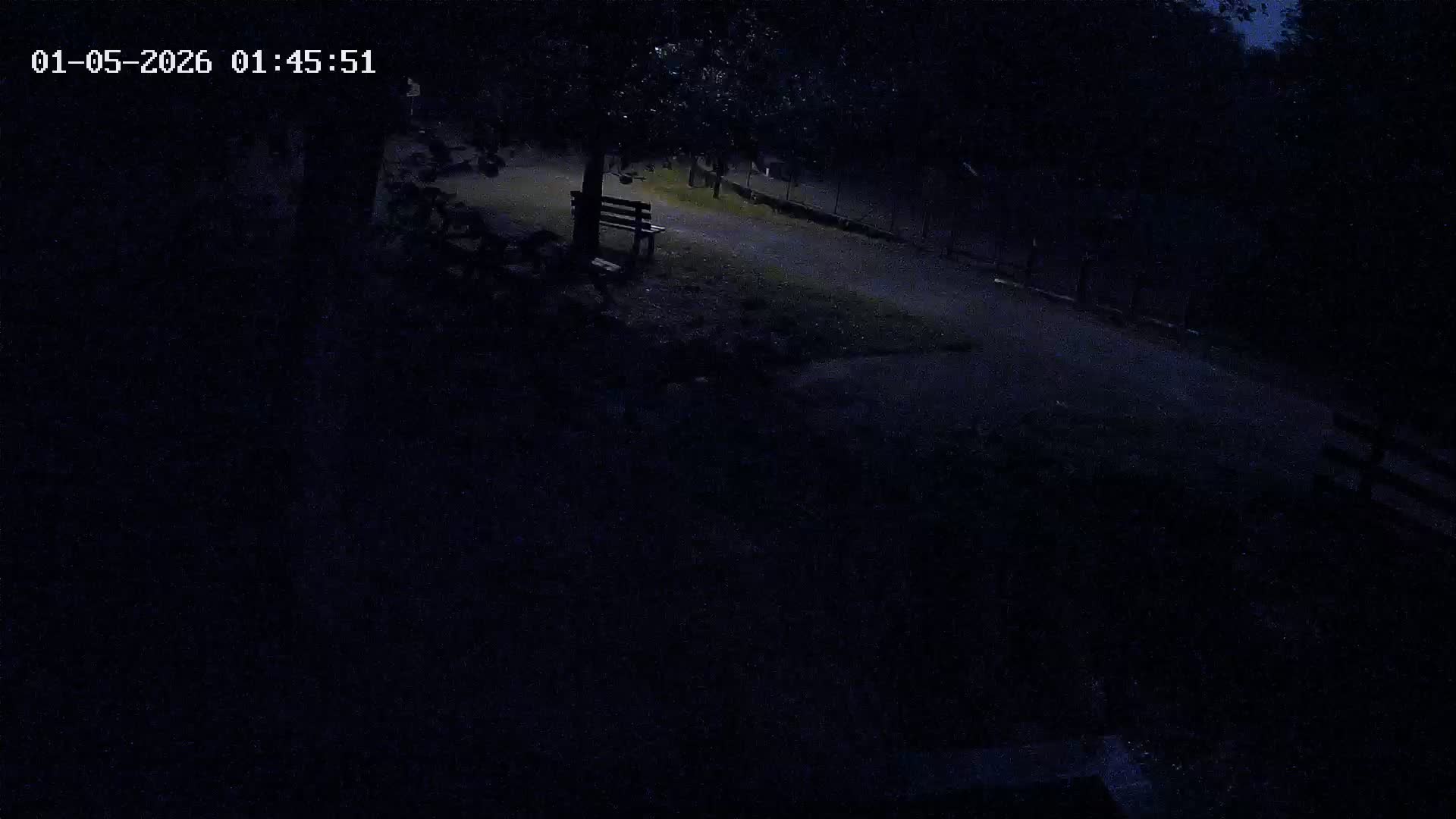 Webcam Image
