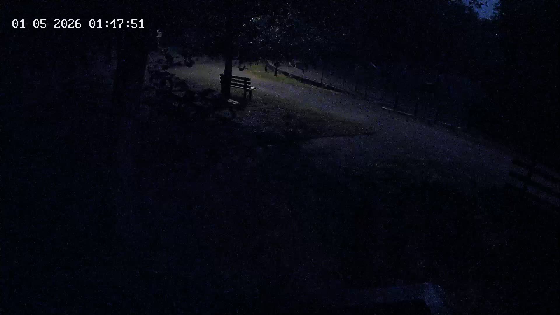 Webcam Image