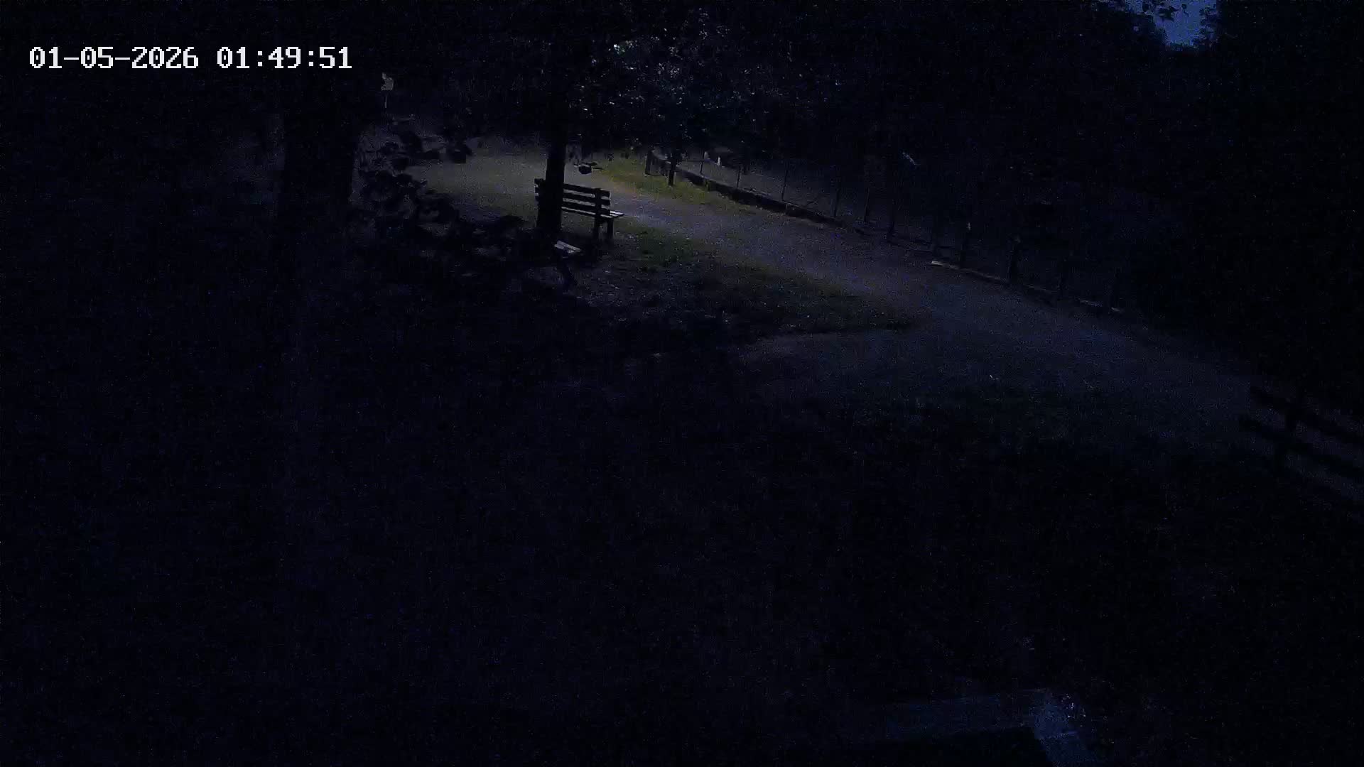 Webcam Image