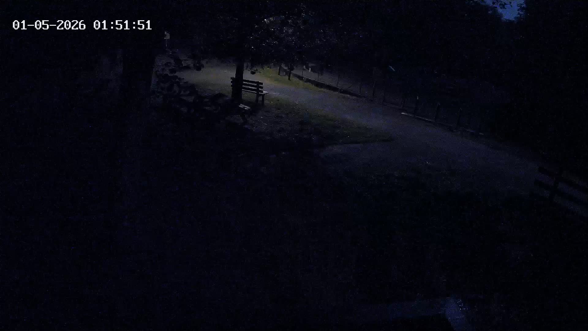 Webcam Image