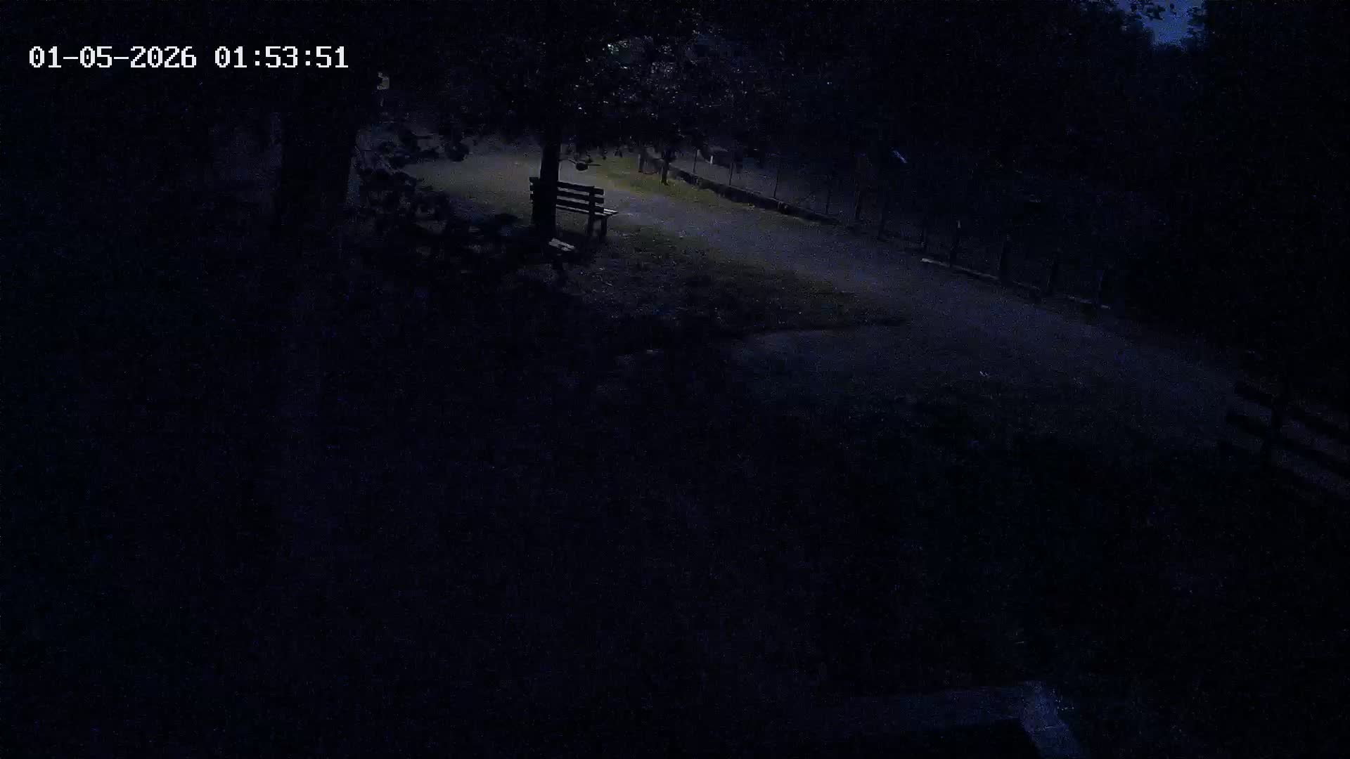 Webcam Image