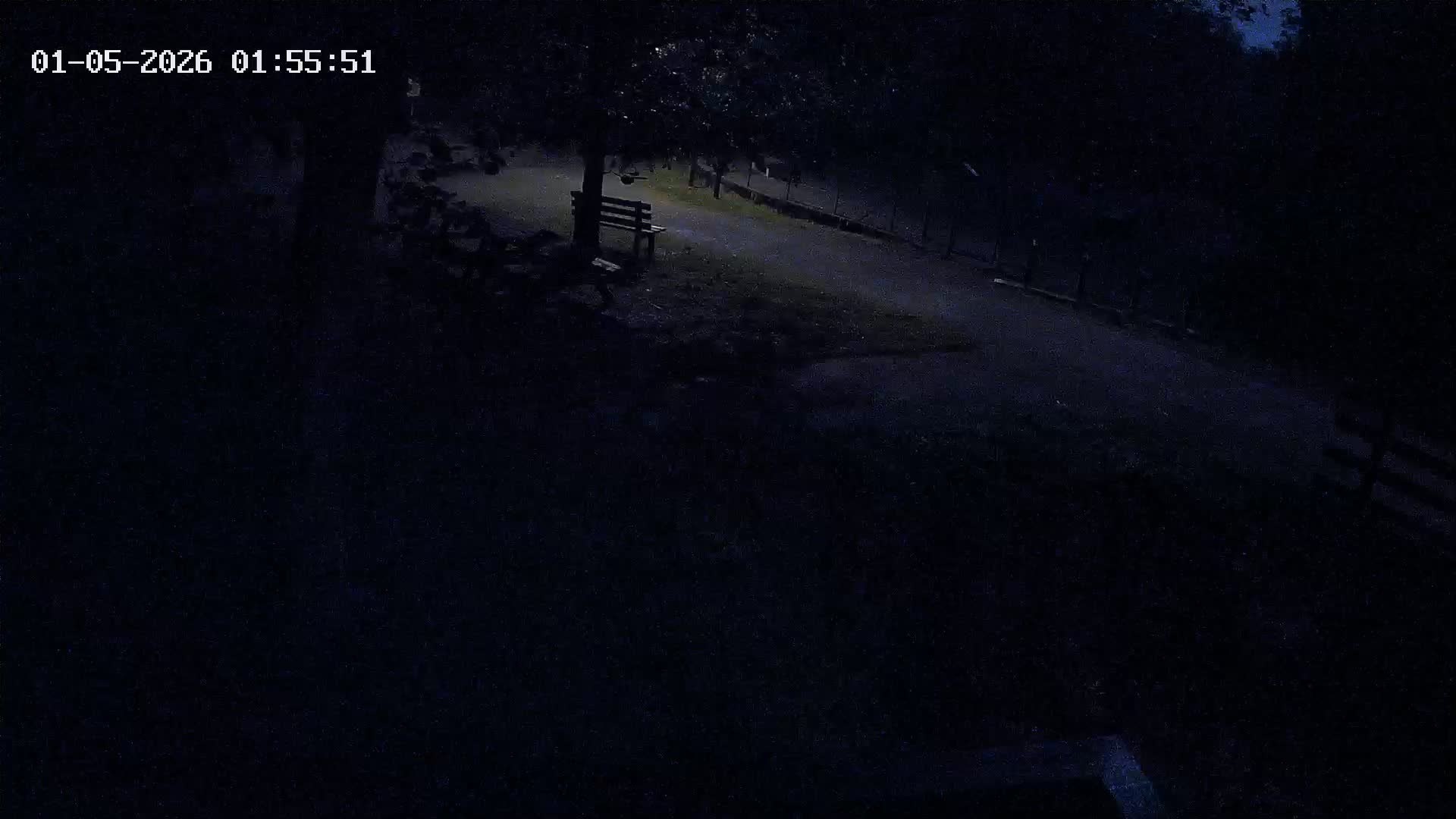 Webcam Image