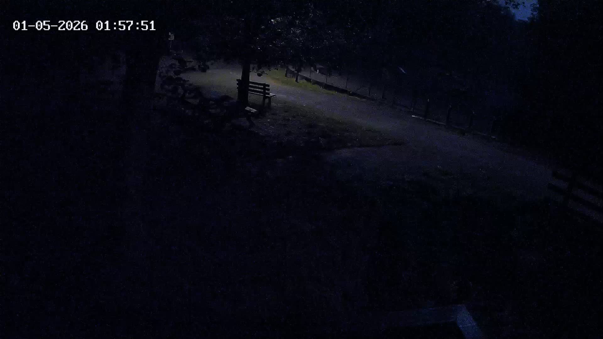 Webcam Image