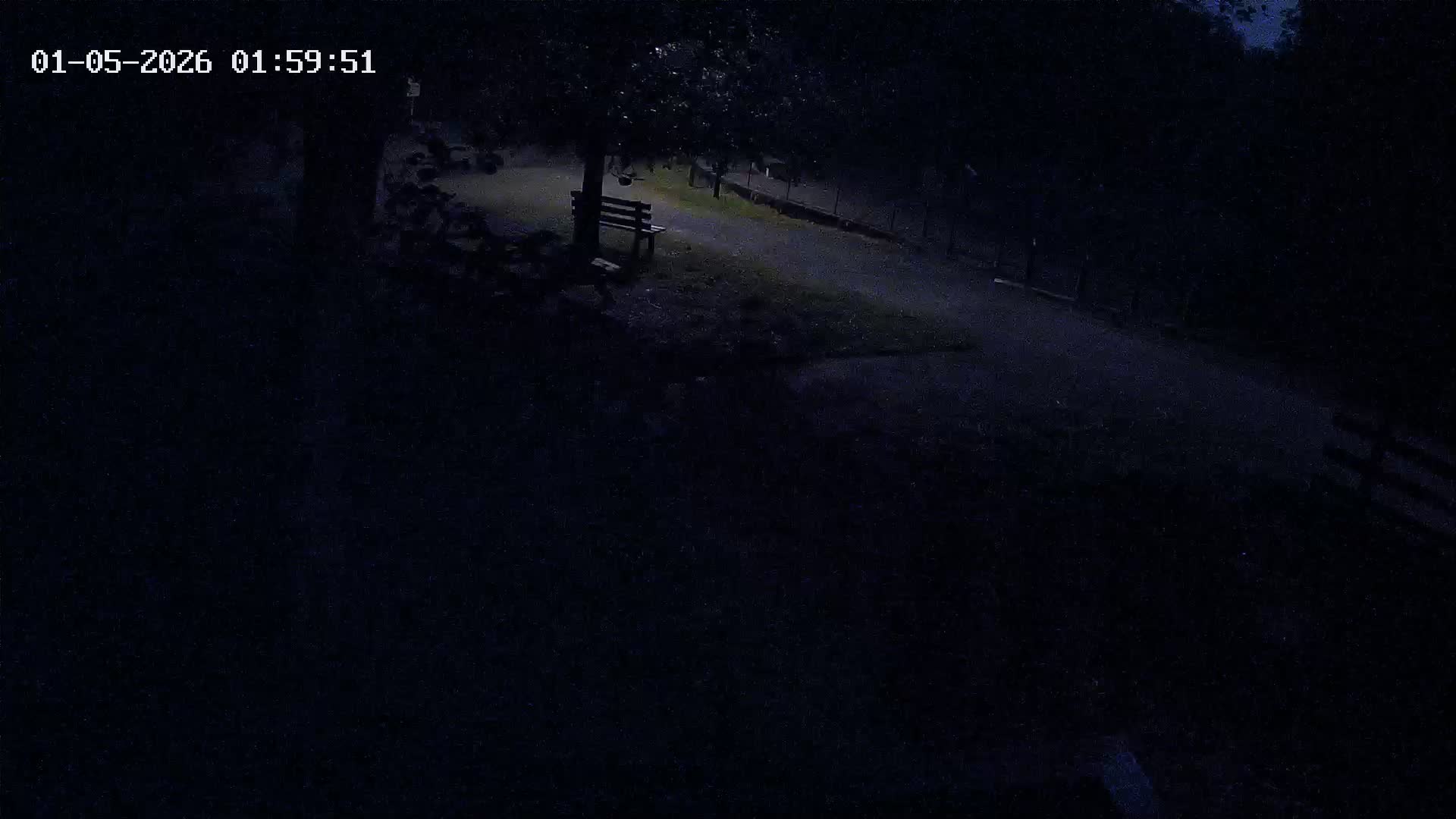 Webcam Image