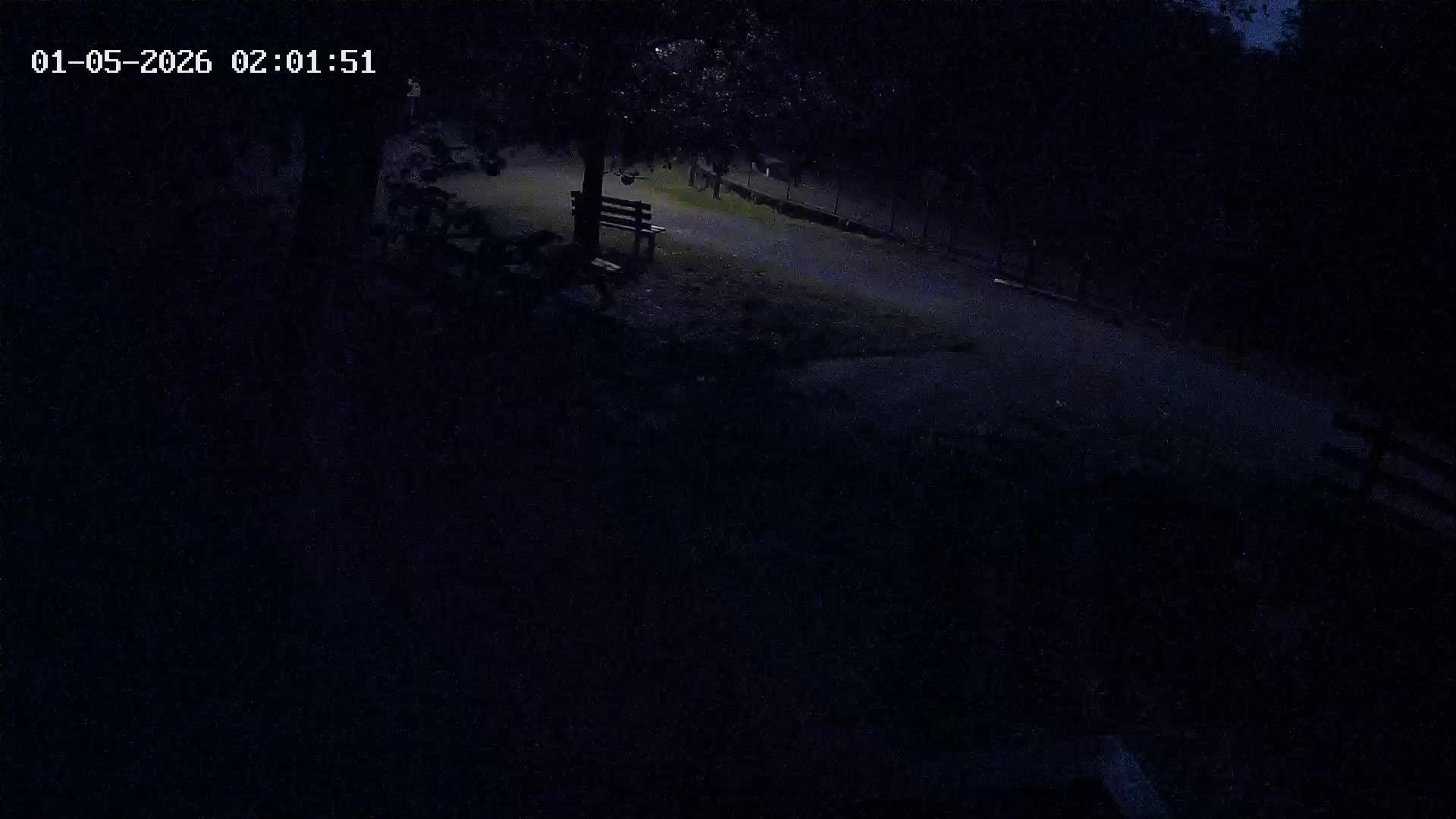 Webcam Image