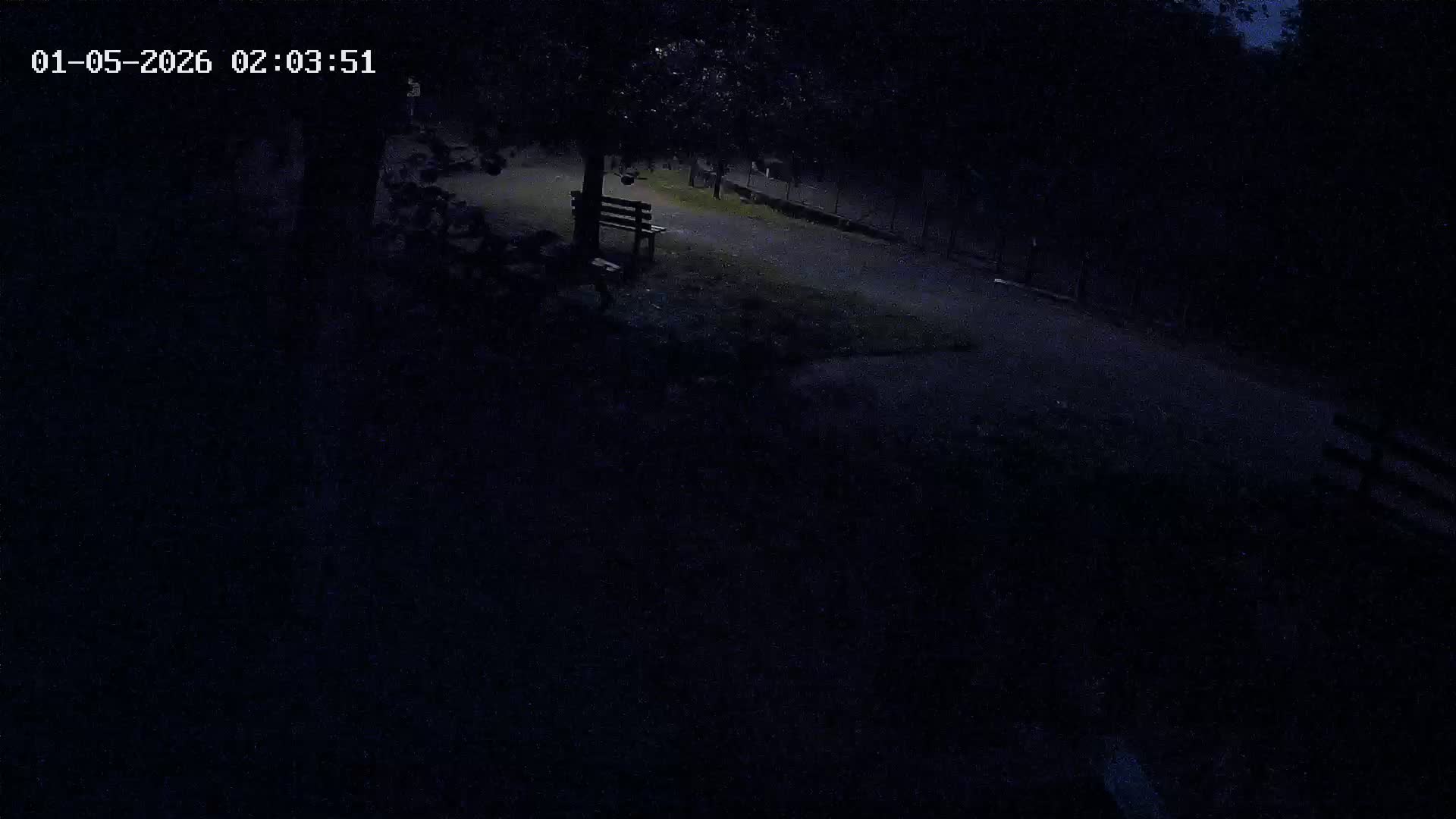 Webcam Image