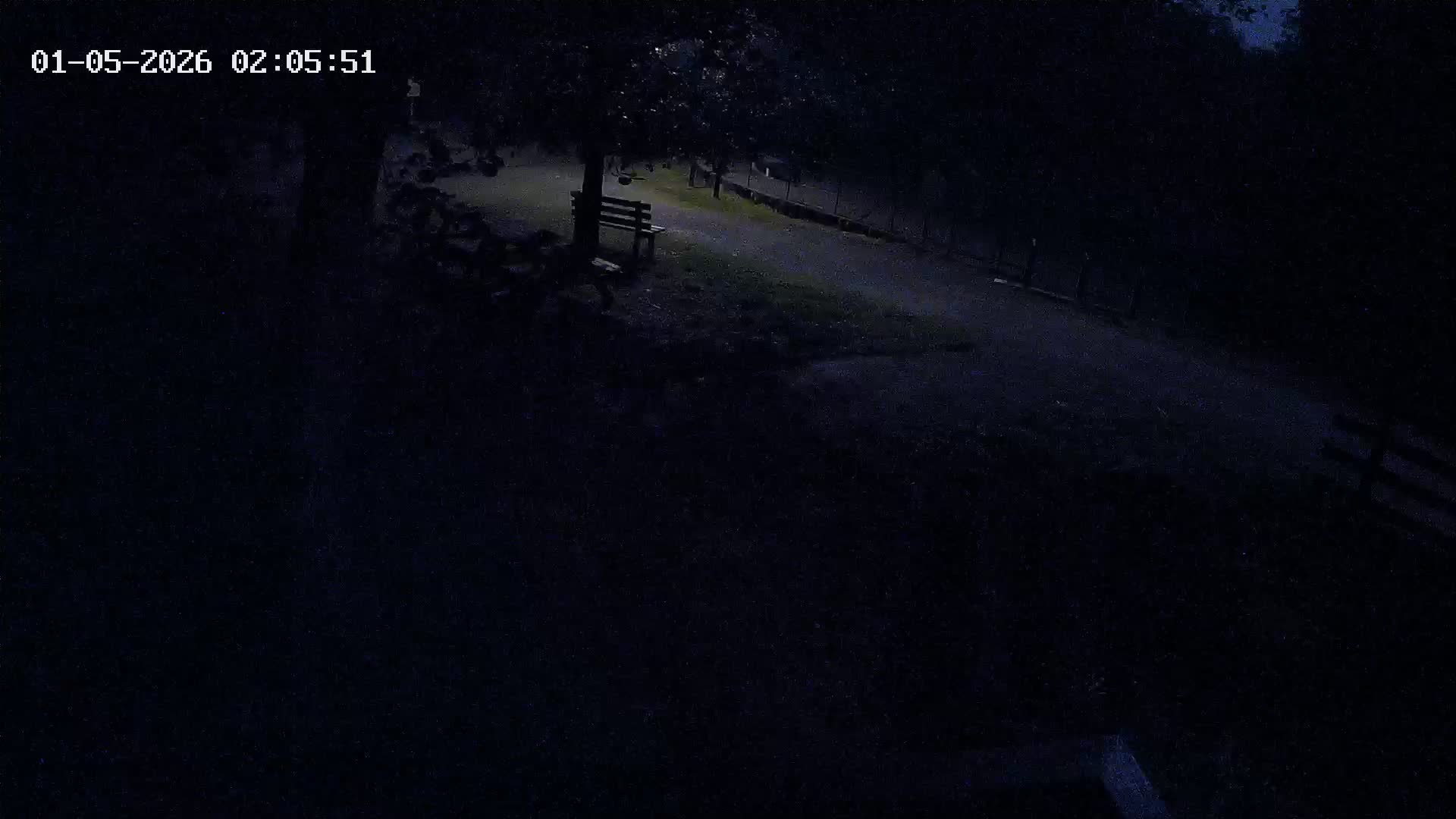 Webcam Image