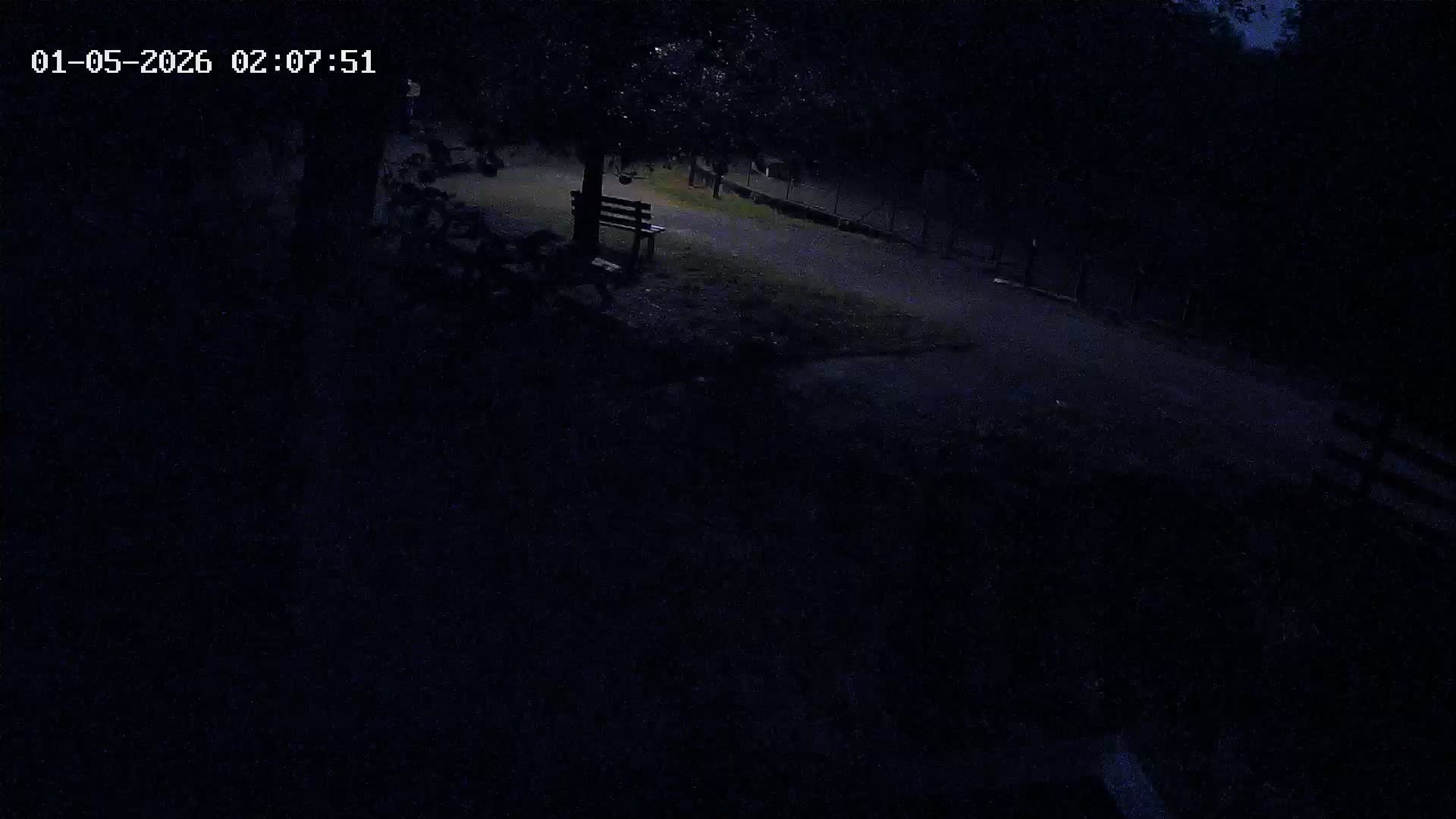 Webcam Image