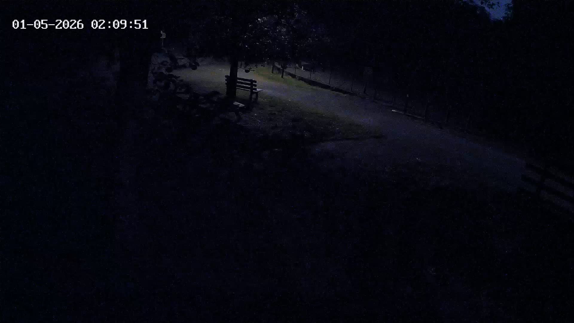 Webcam Image