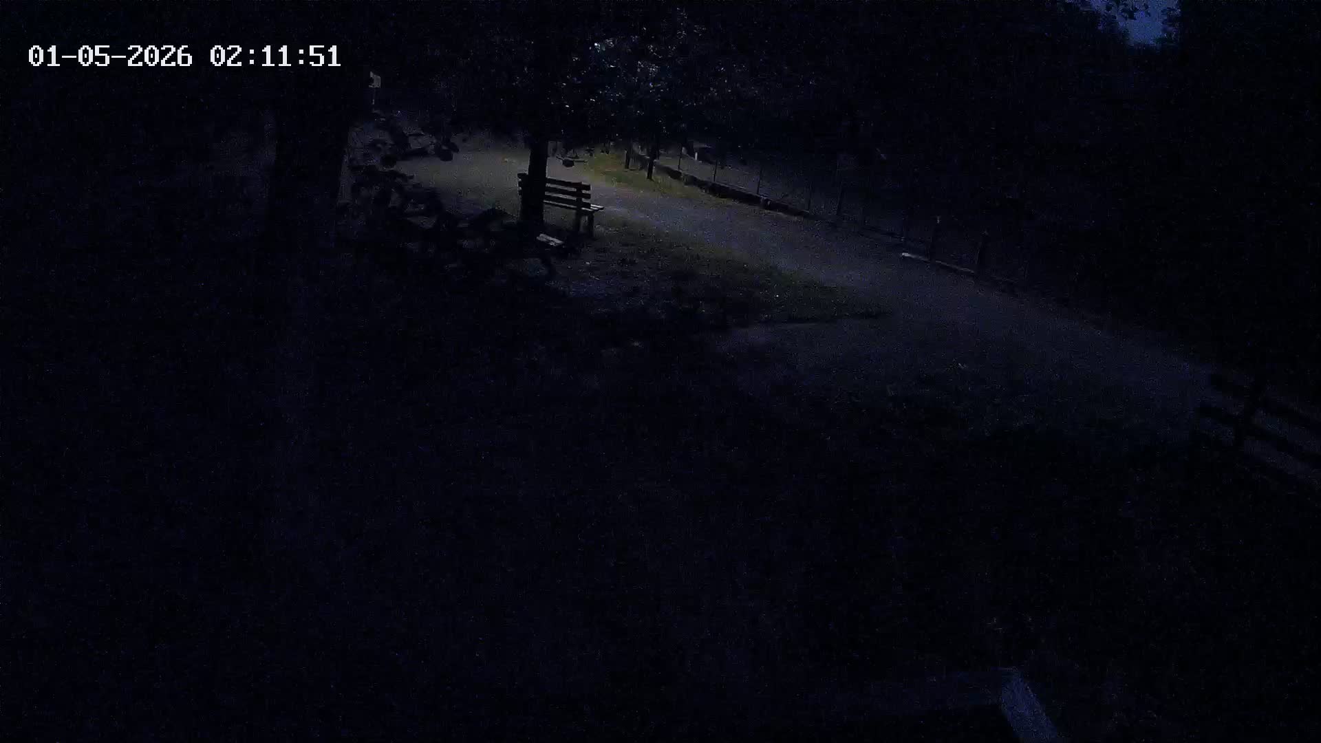 Webcam Image