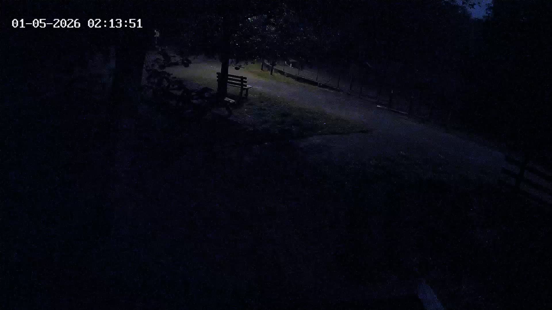 Webcam Image